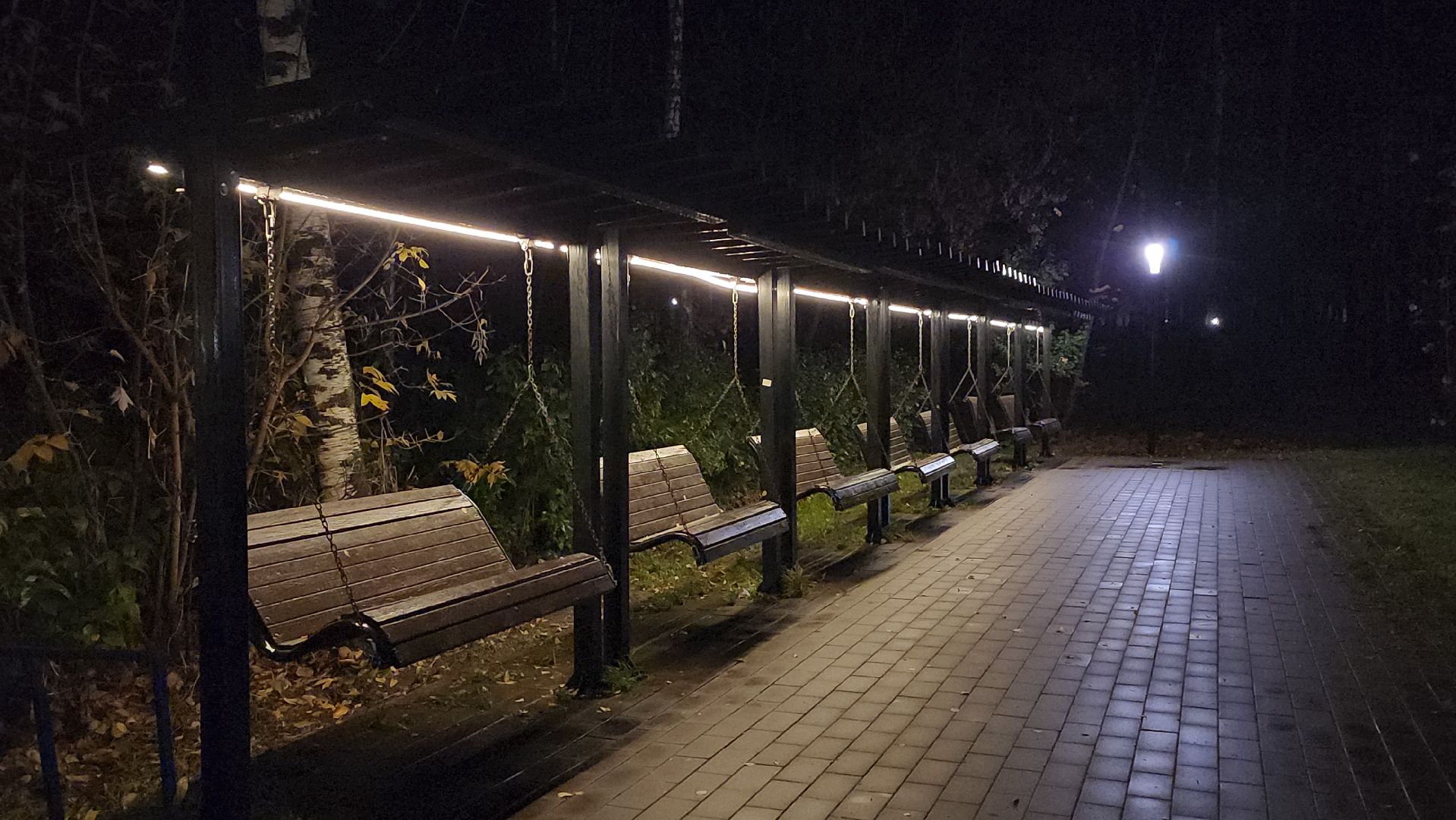 люберцы, малаховское озеро, реконструкция, модернизация , декоративная подсветка,