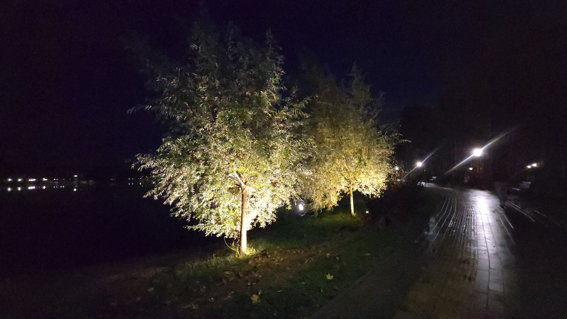 люберцы, малаховское озеро, реконструкция, модернизация , декоративная подсветка,