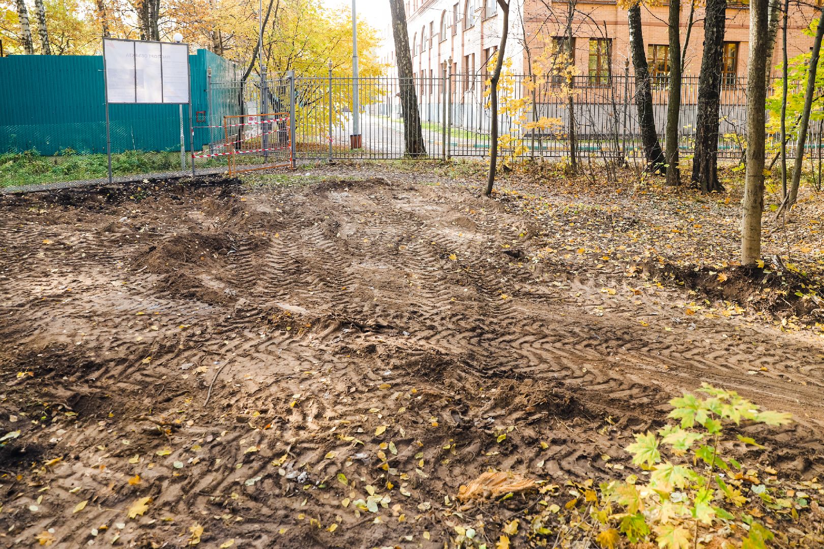 дорожка, тропа, безопасность,