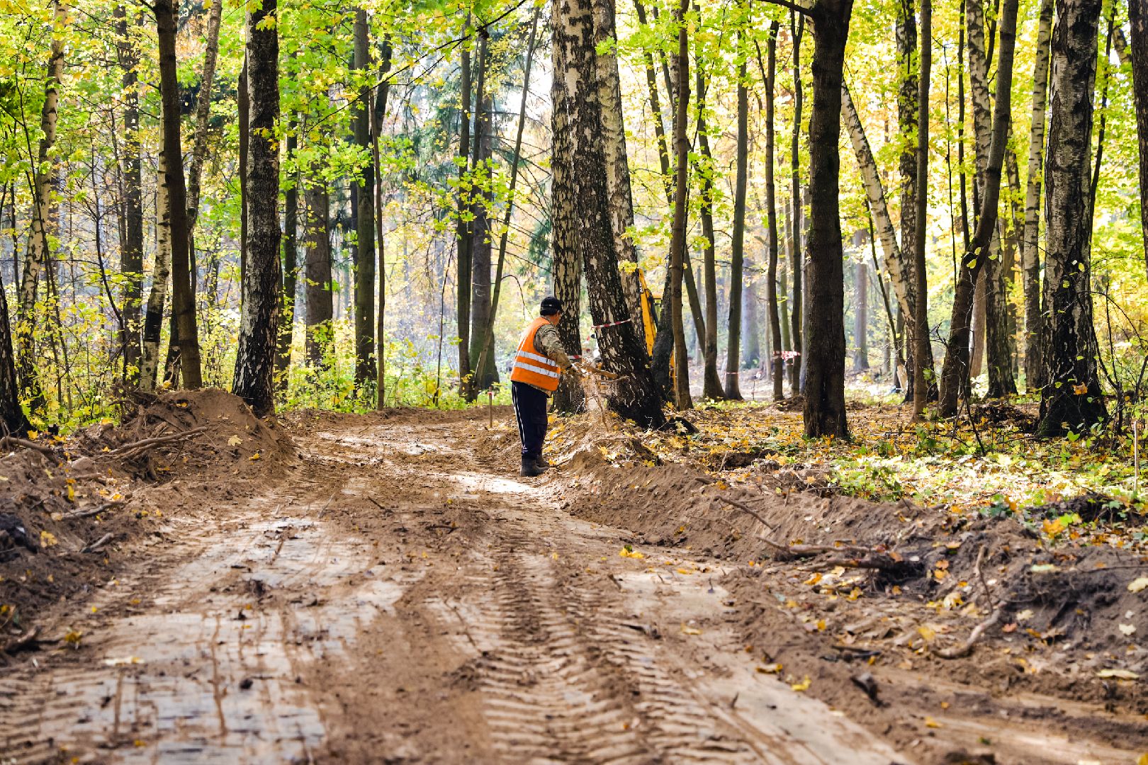дорожка, тропа, безопасность,