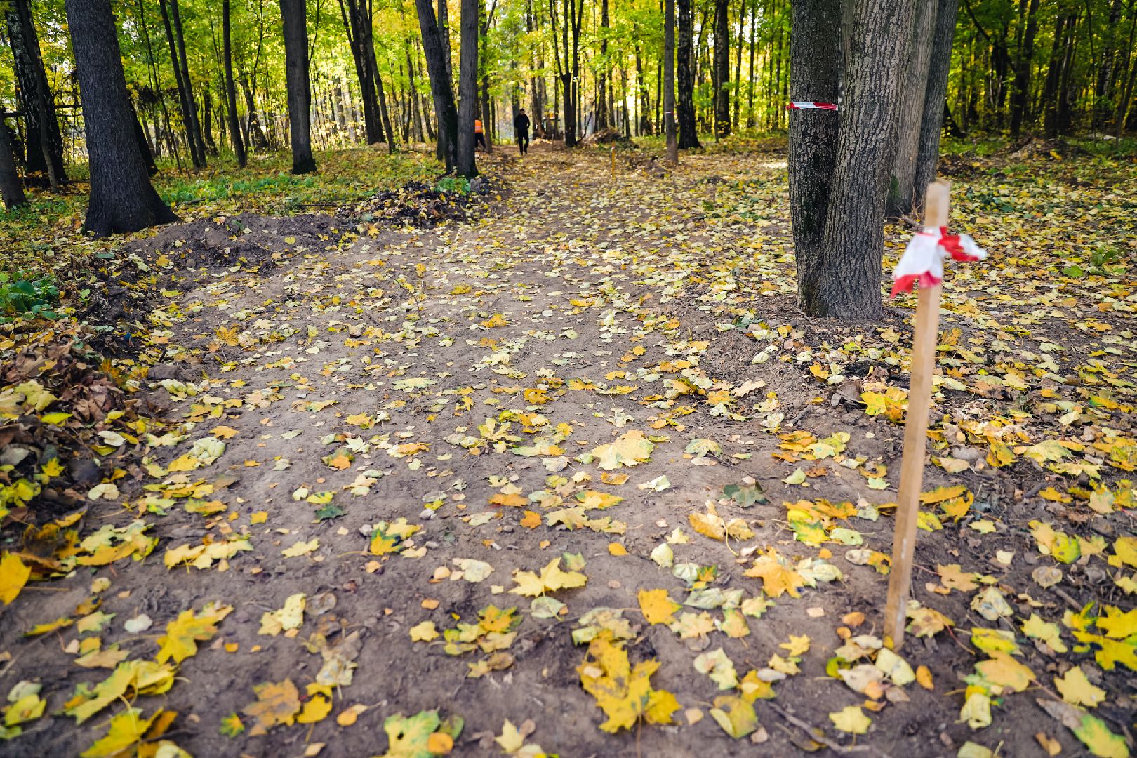 дорожка, тропа, безопасность,