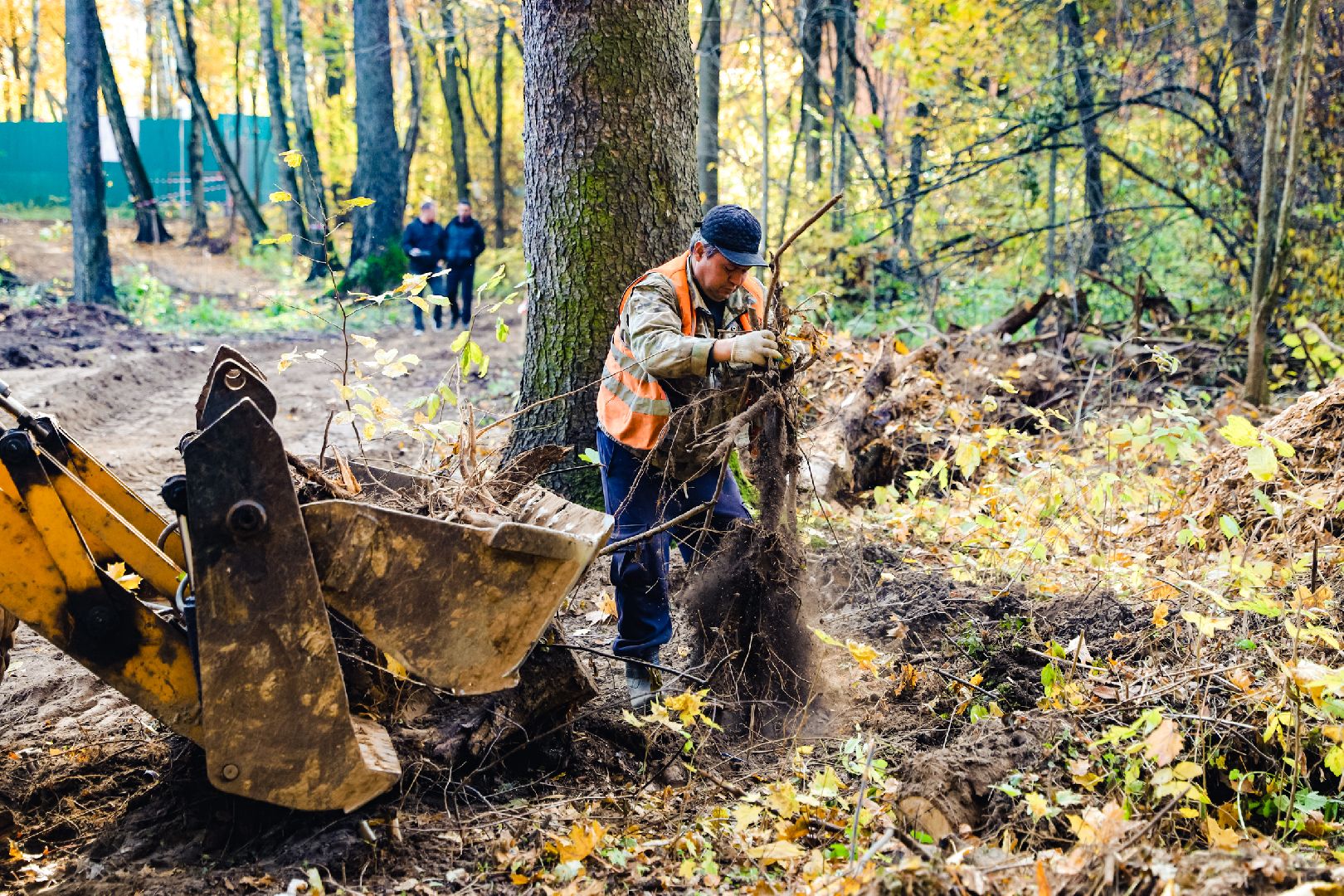 дорожка, тропа, безопасность,