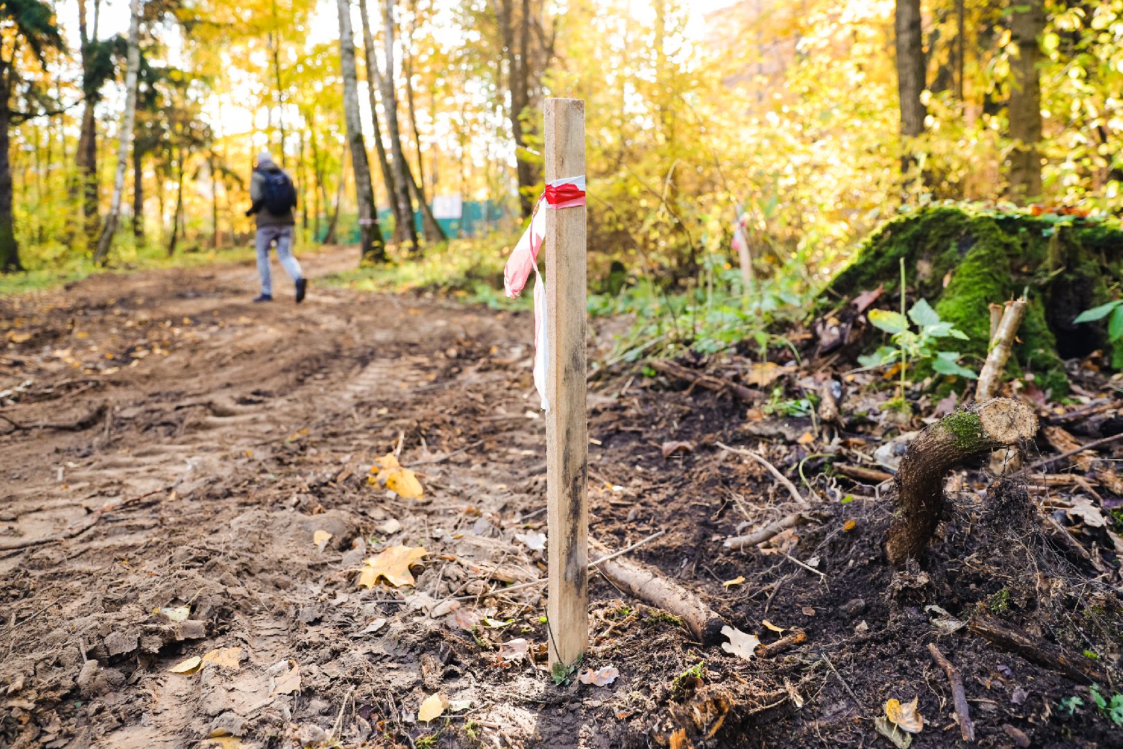 дорожка, тропа, безопасность,
