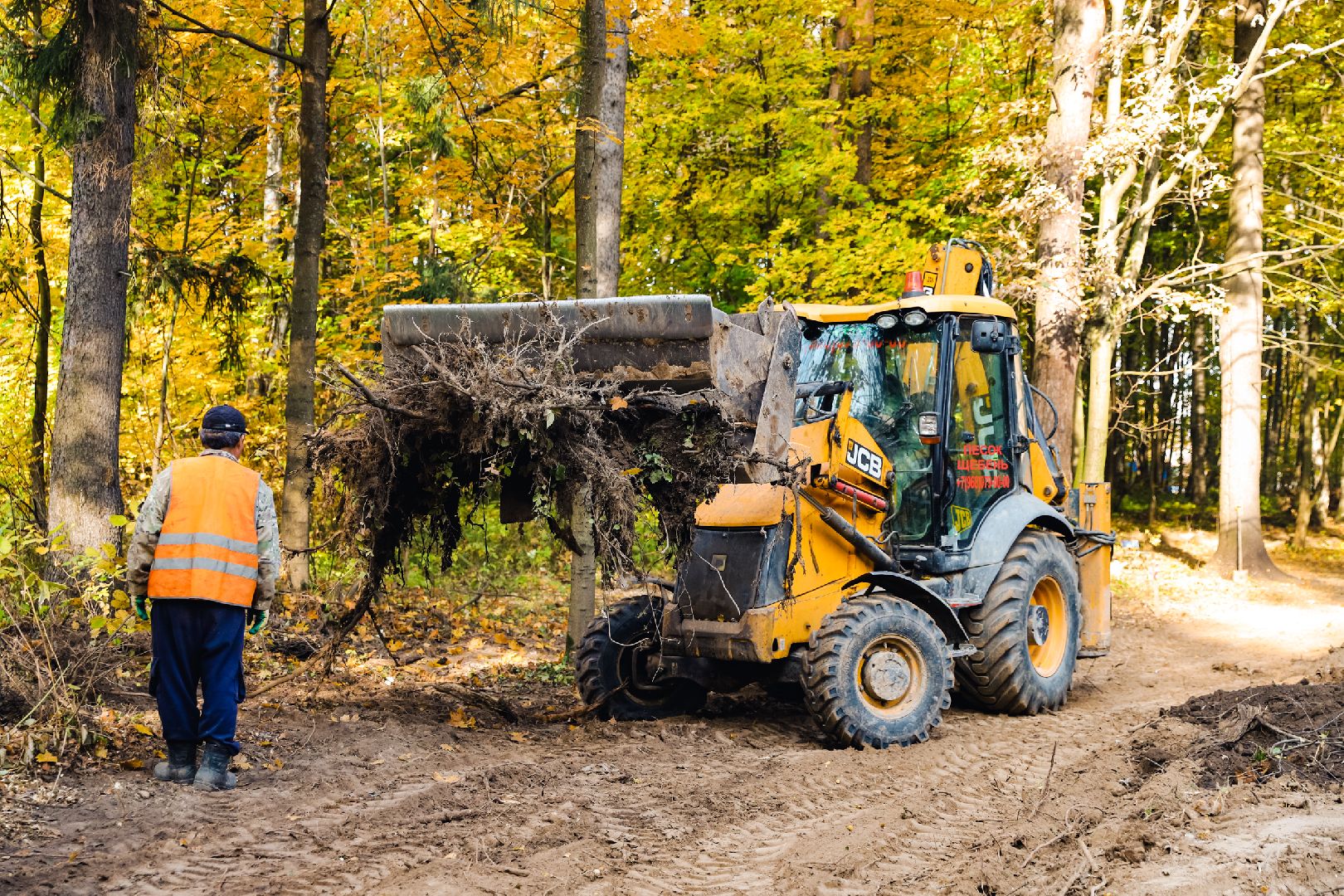 дорожка, тропа, безопасность,