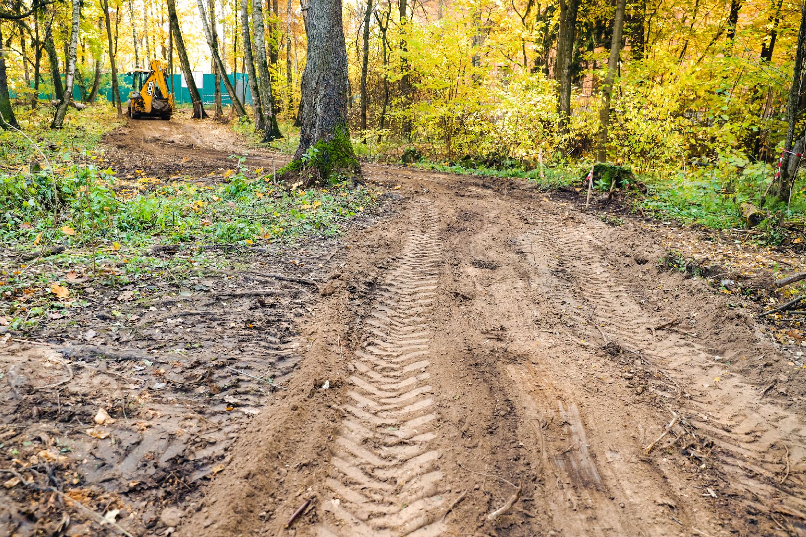 дорожка, тропа, безопасность,