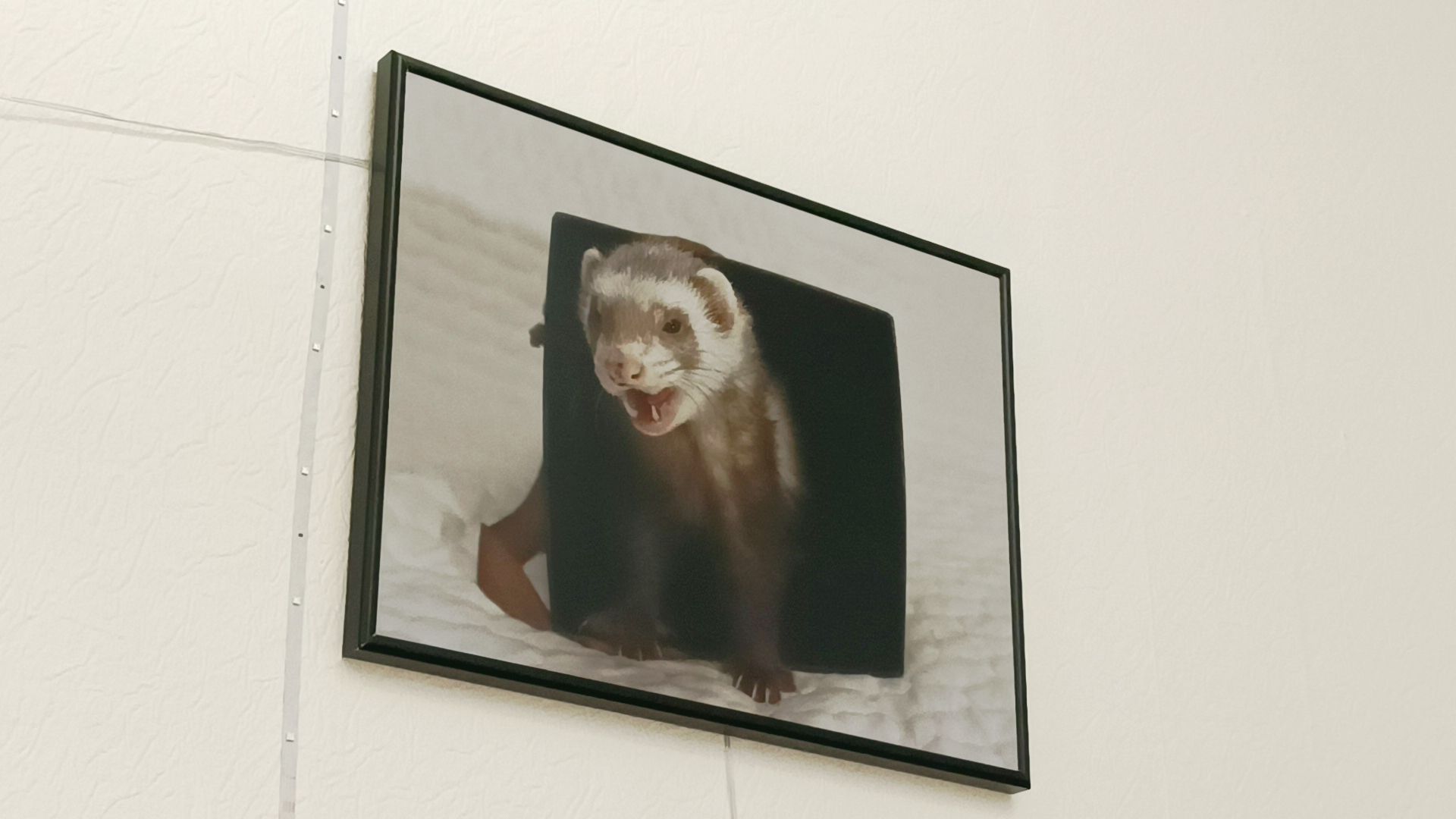 фотография, выставка, лобня,