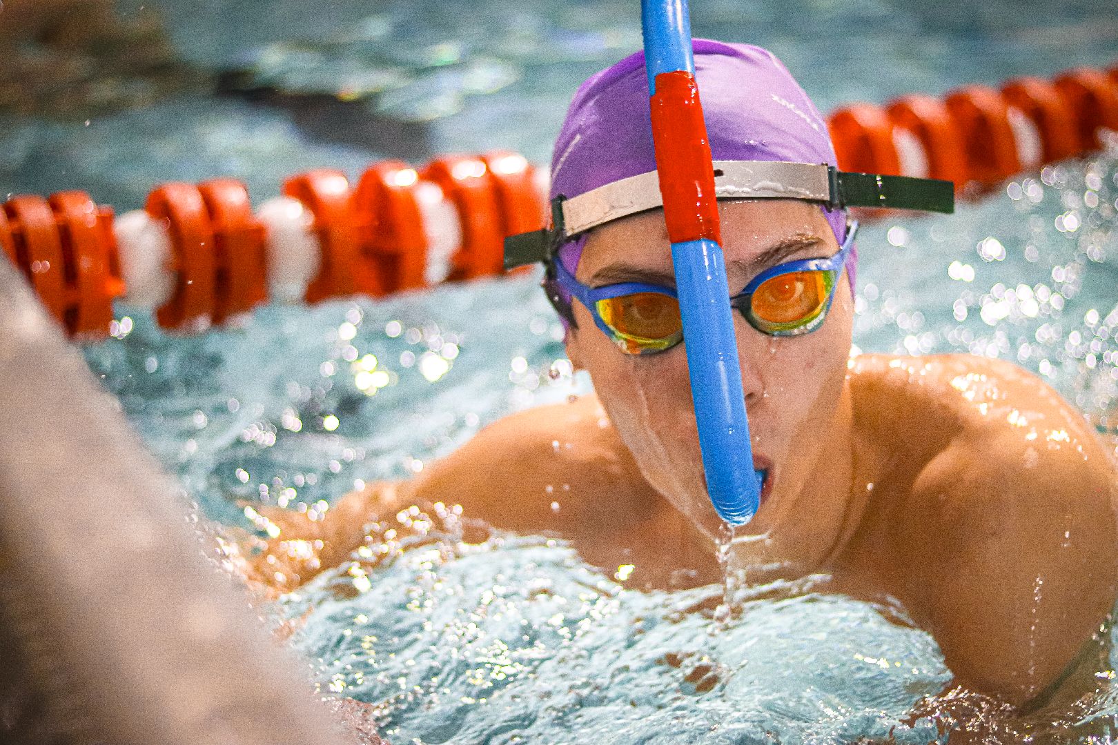 клин, общество, спорт, подмосковье, плавание,