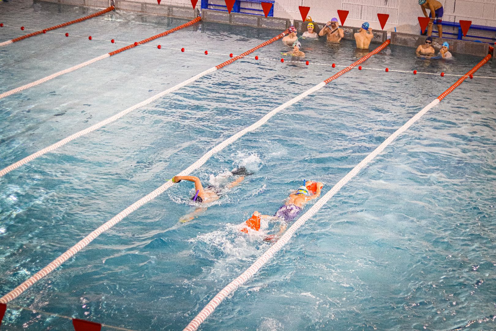 клин, общество, спорт, подмосковье, плавание,