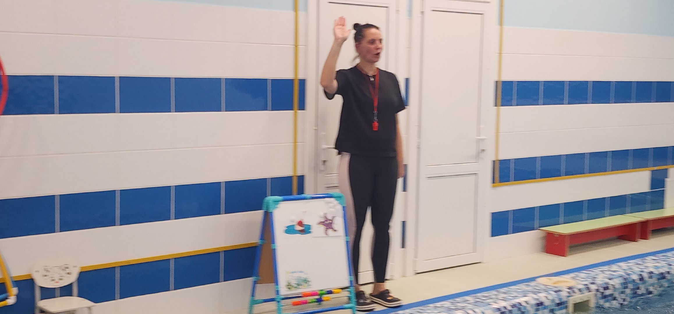 Образование, Спорт,  Дополнительное образование,