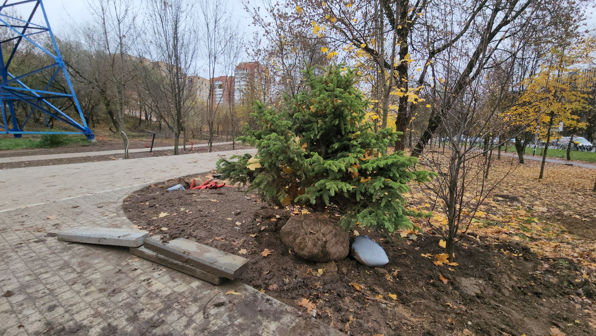 красногорск, яблоневый сквер, благоустройство,