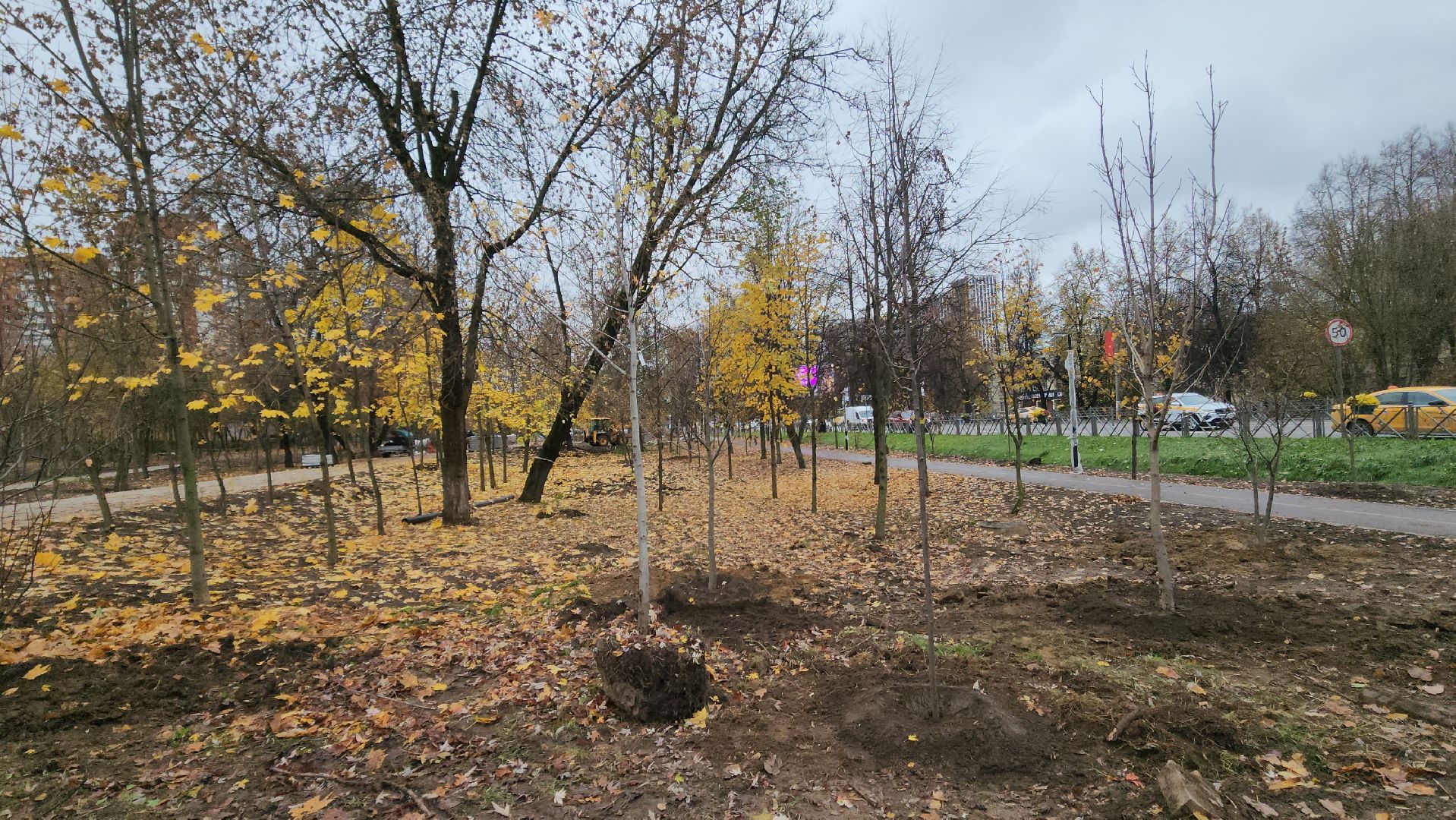 красногорск, яблоневый сквер, благоустройство,