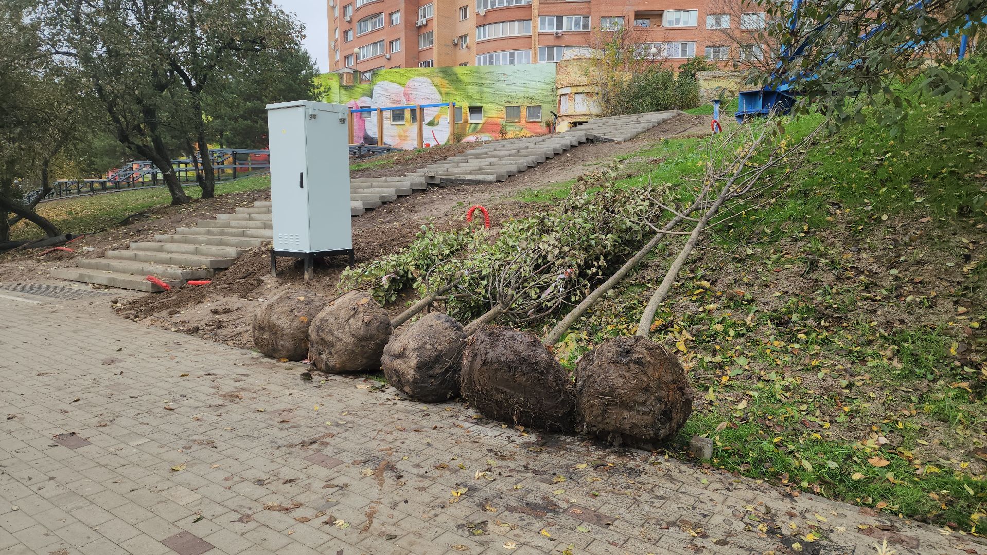 красногорск, яблоневый сквер, благоустройство,