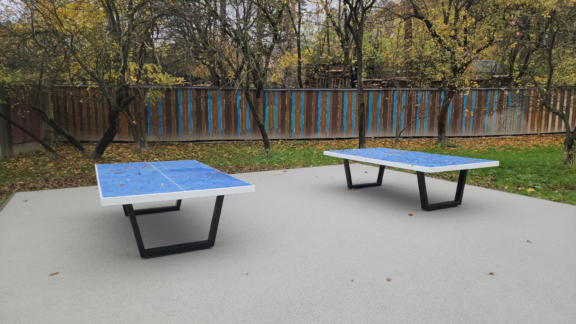 красногорск, благоустройство, яблоневый сквер, скейтпарк,