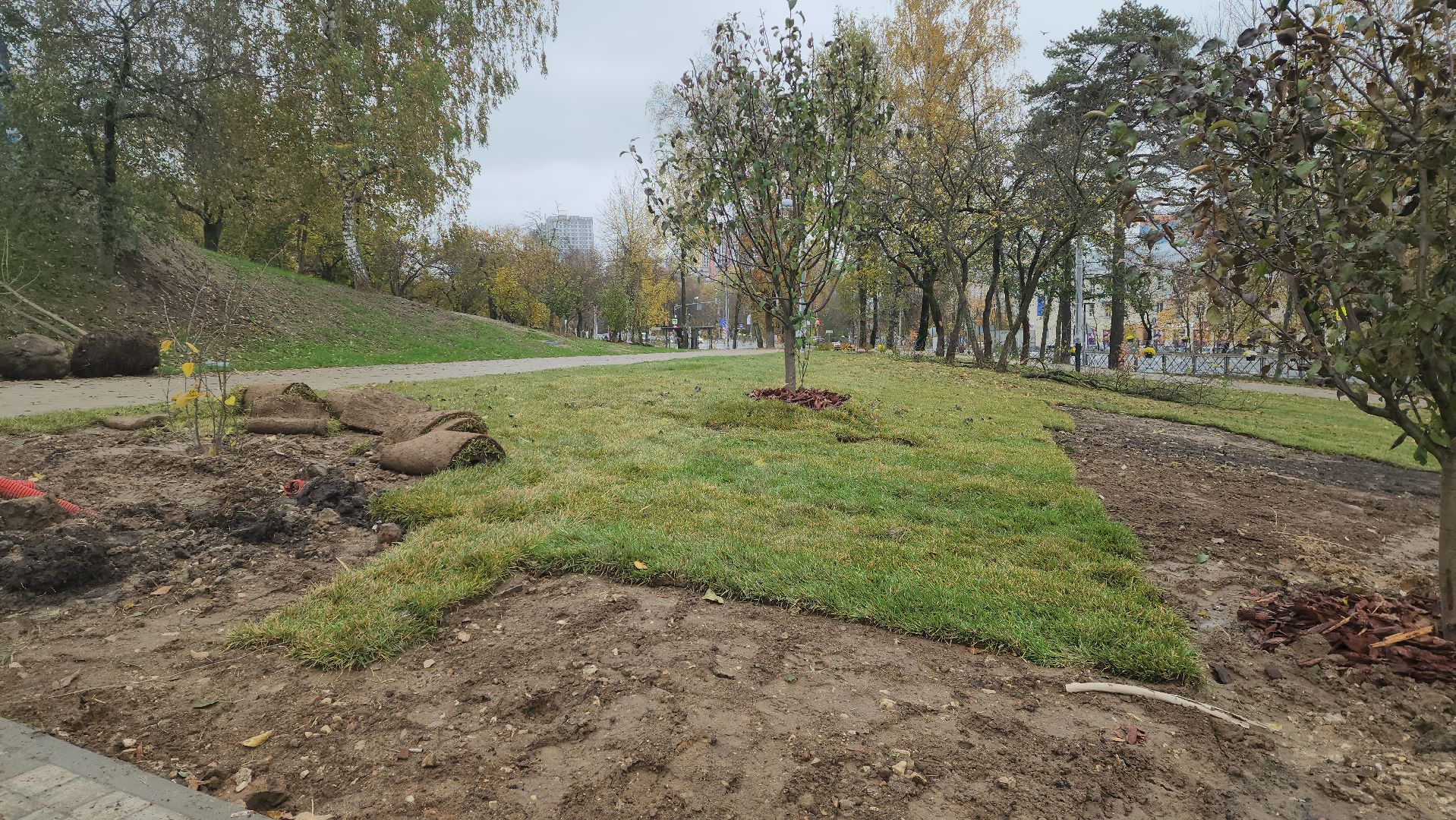 красногорск, благоустройство, яблоневый сквер, скейтпарк,