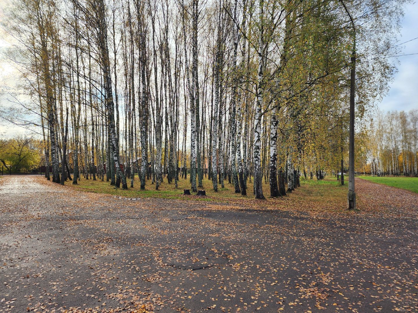 пушкинский городской округ, софрино, софринский образовательный комплекс, школа 1 в софрино, капитальный  ремонт,ремонт школы 1 в софрино,