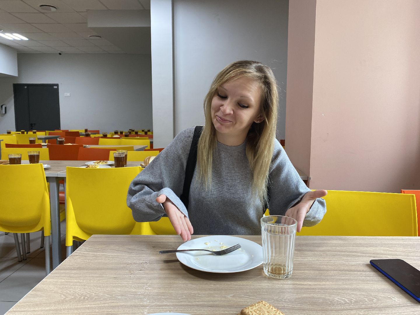 Чехов, школа, Родительский контроль, питание, многодетная мама