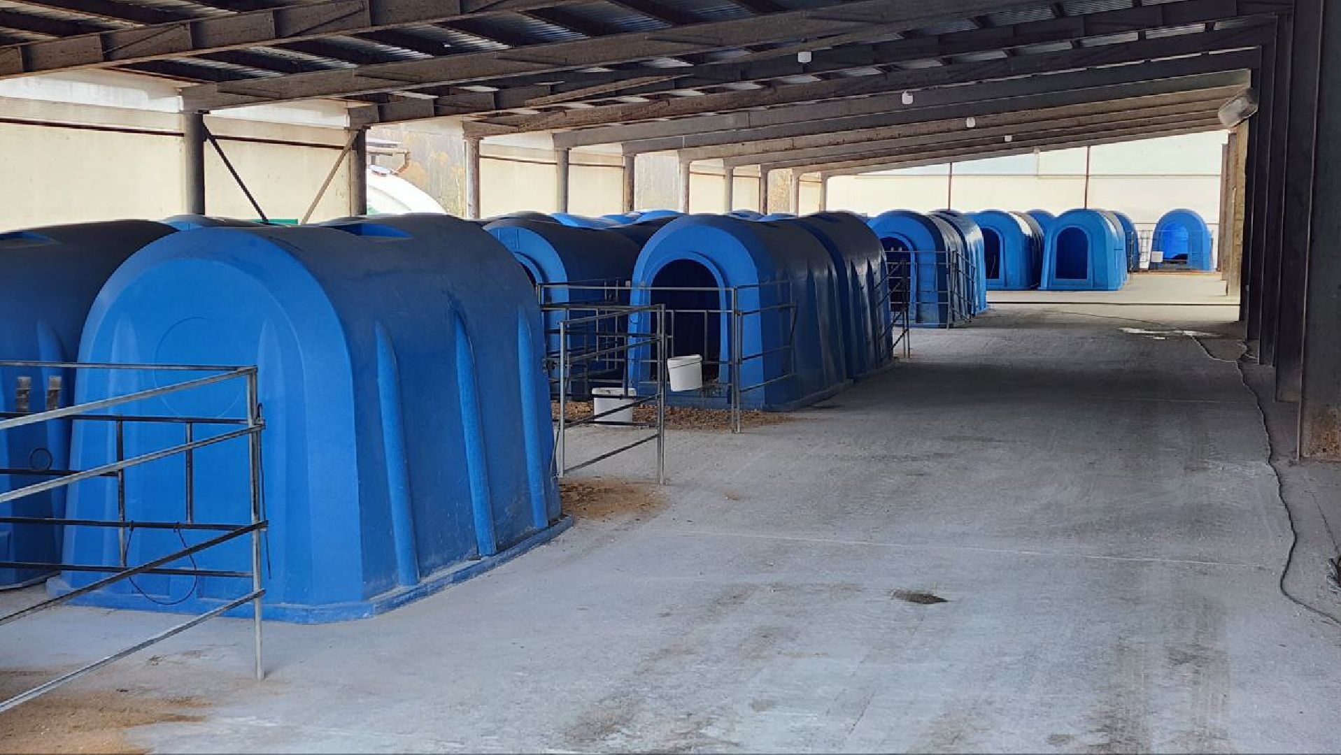 Дмитров, Агрофирма Дубна Плюс, Система Хорриот, Госветстанция, Минсельхоз,