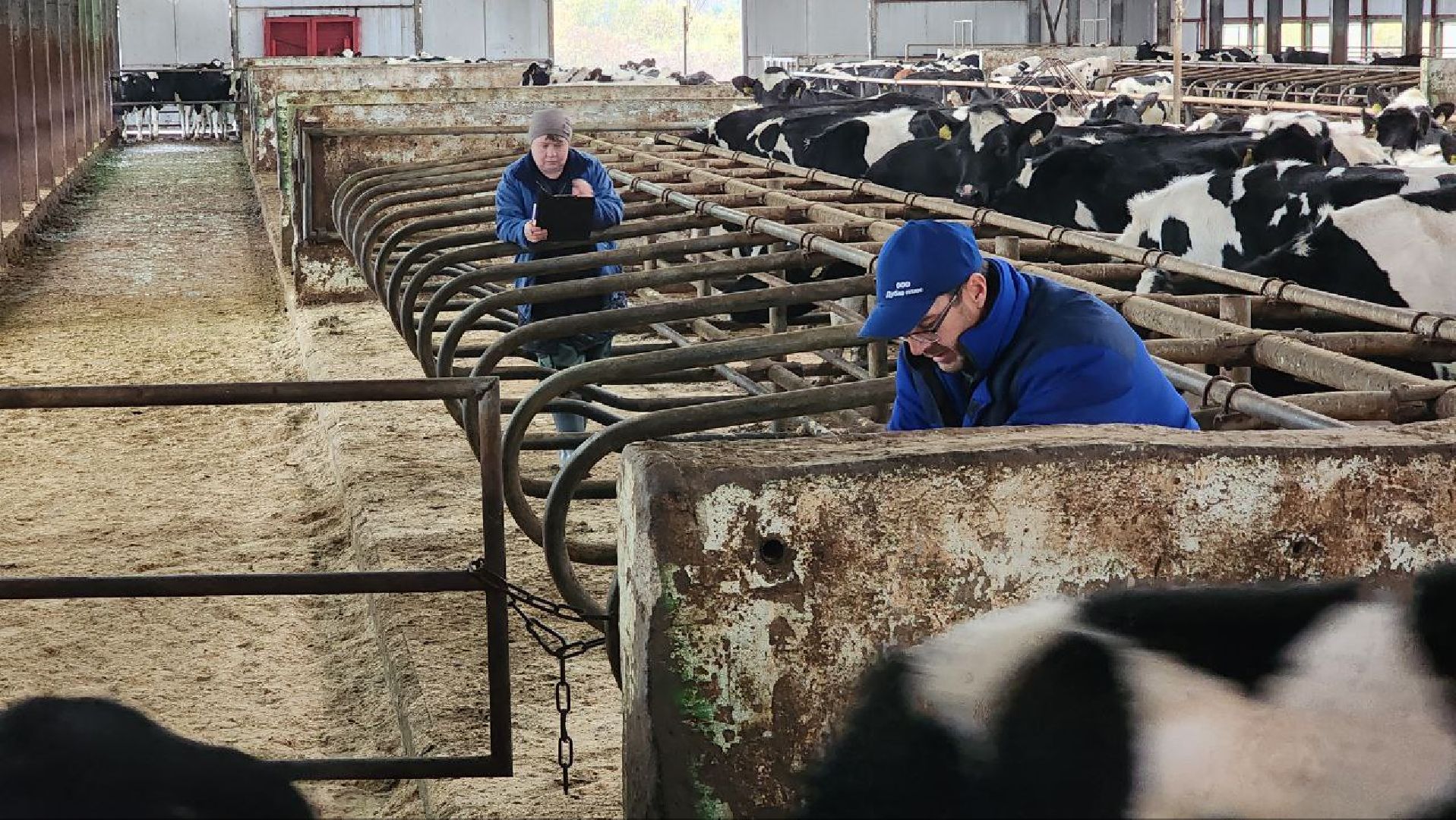 Дмитров, Агрофирма Дубна Плюс, Система Хорриот, Госветстанция, Минсельхоз,