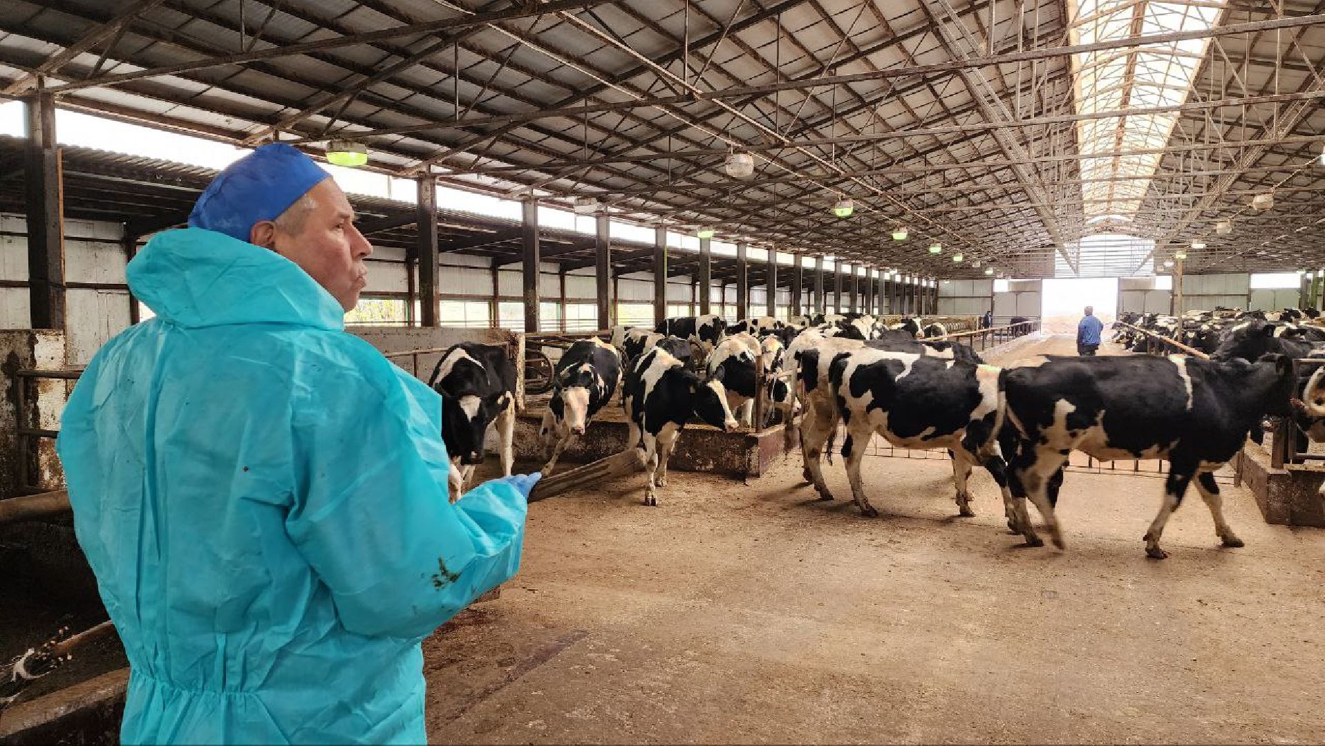 Дмитров, Агрофирма Дубна Плюс, Система Хорриот, Госветстанция, Минсельхоз,