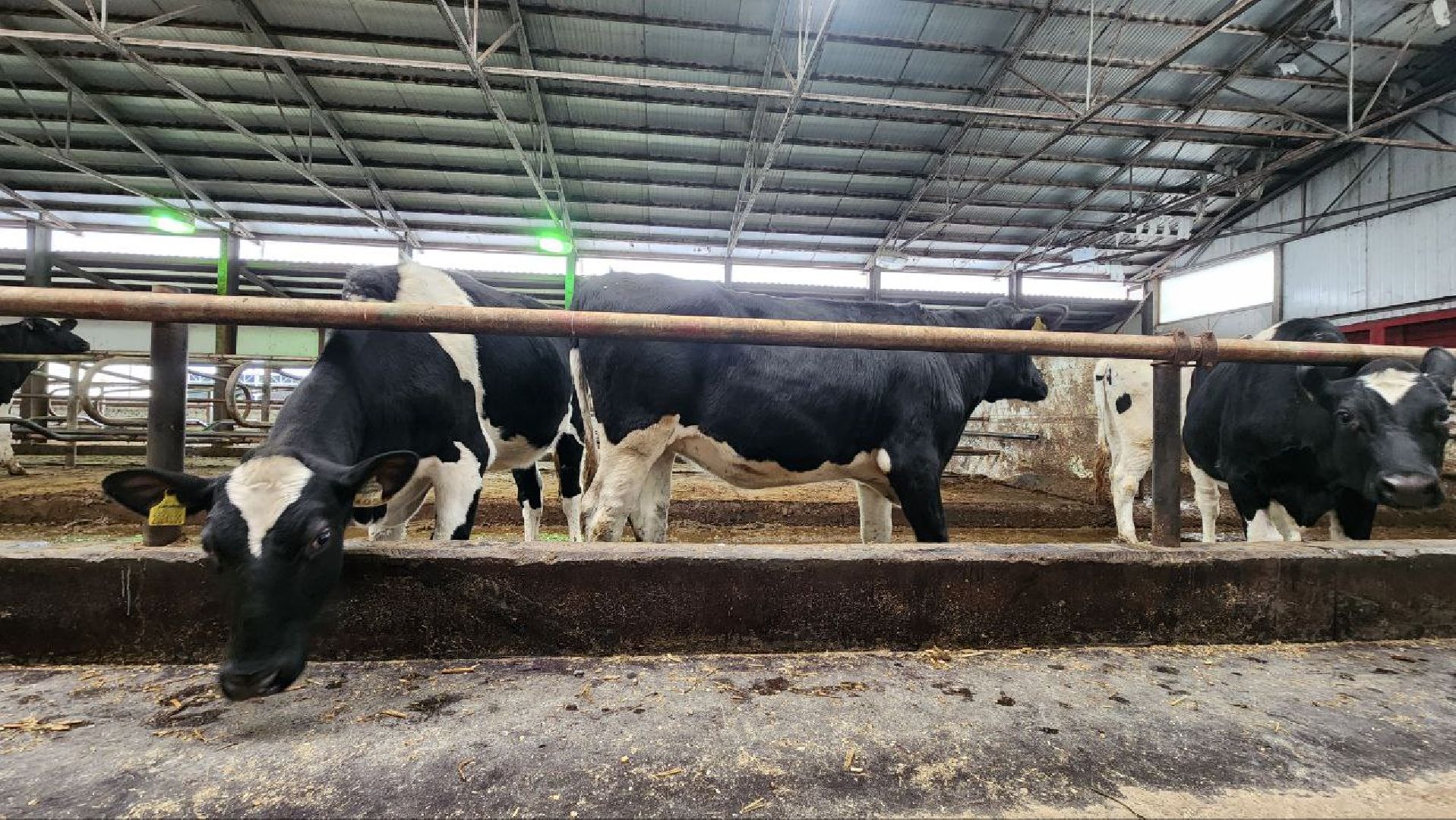 Дмитров, Агрофирма Дубна Плюс, Система Хорриот, Госветстанция, Минсельхоз,