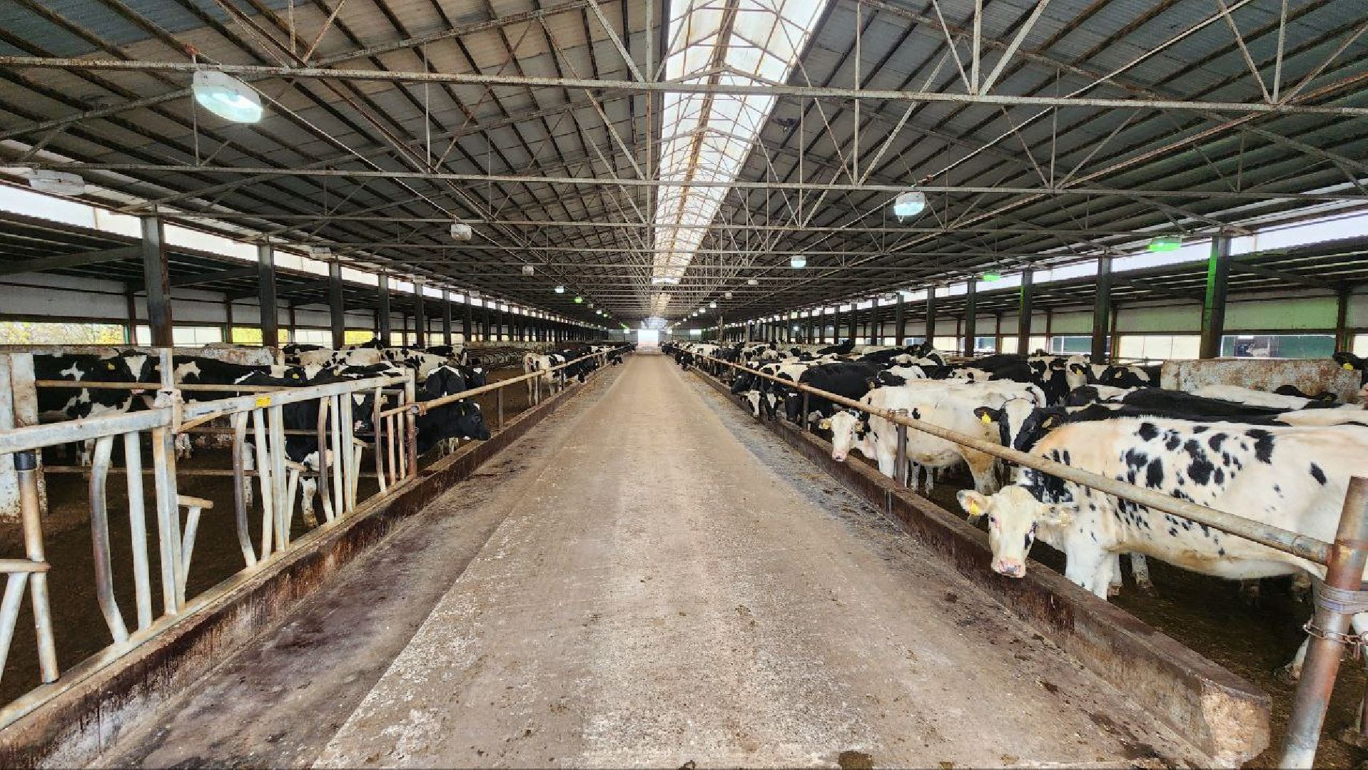 Дмитров, Агрофирма Дубна Плюс, Система Хорриот, Госветстанция, Минсельхоз,