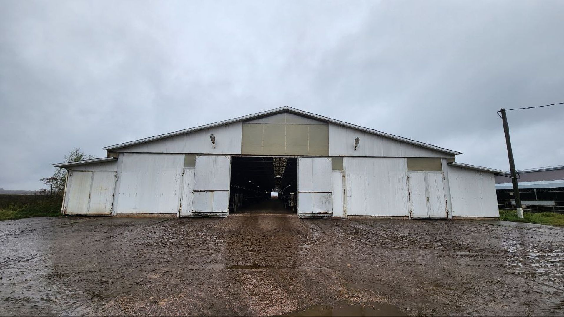 Дмитров, Агрофирма Дубна Плюс, Система Хорриот, Госветстанция, Минсельхоз,