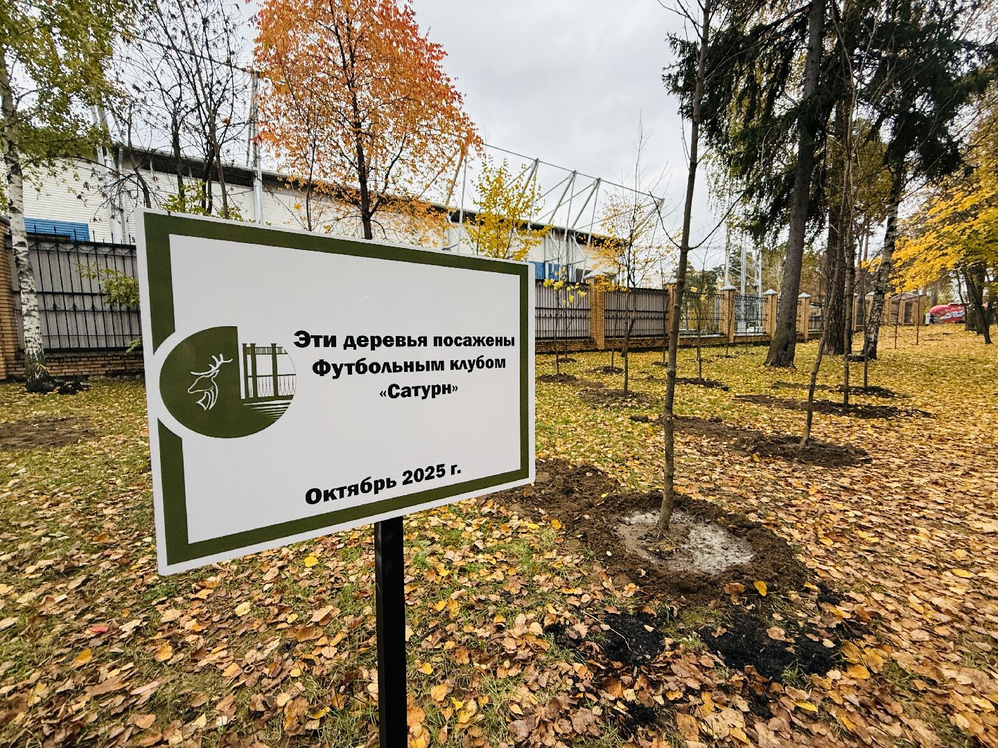 раменское, высадка деревьев, сво, сатурн, леон сатурн, раменский сатурн,  раменский городской парк,патриотическая акция,