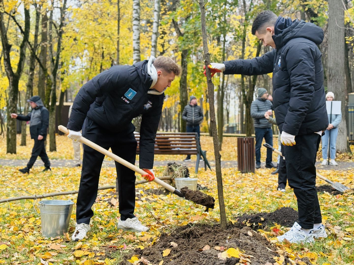раменское, высадка деревьев, сво, сатурн, леон сатурн, раменский сатурн,  раменский городской парк,патриотическая акция,