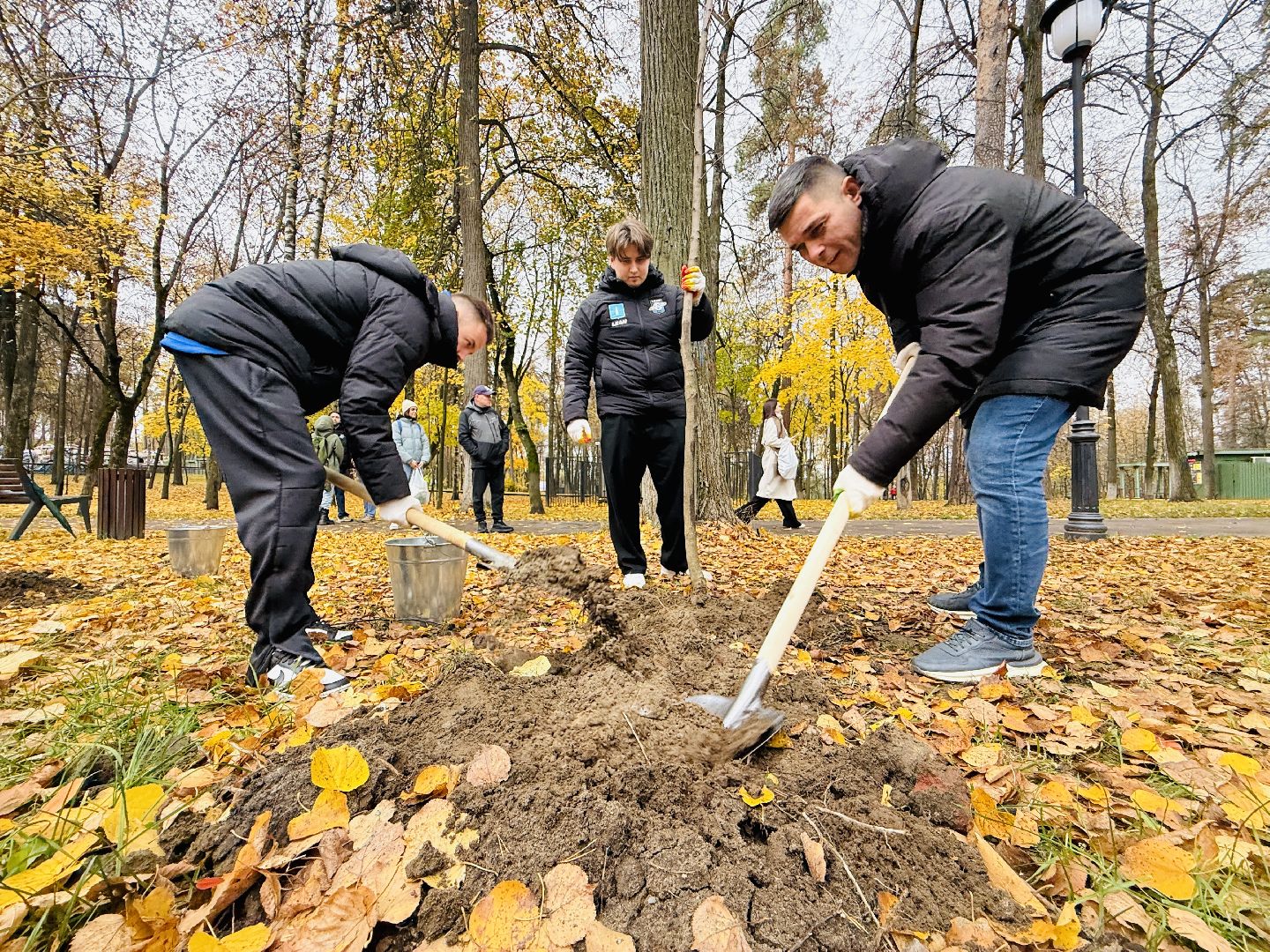 раменское, высадка деревьев, сво, сатурн, леон сатурн, раменский сатурн,  раменский городской парк,патриотическая акция,