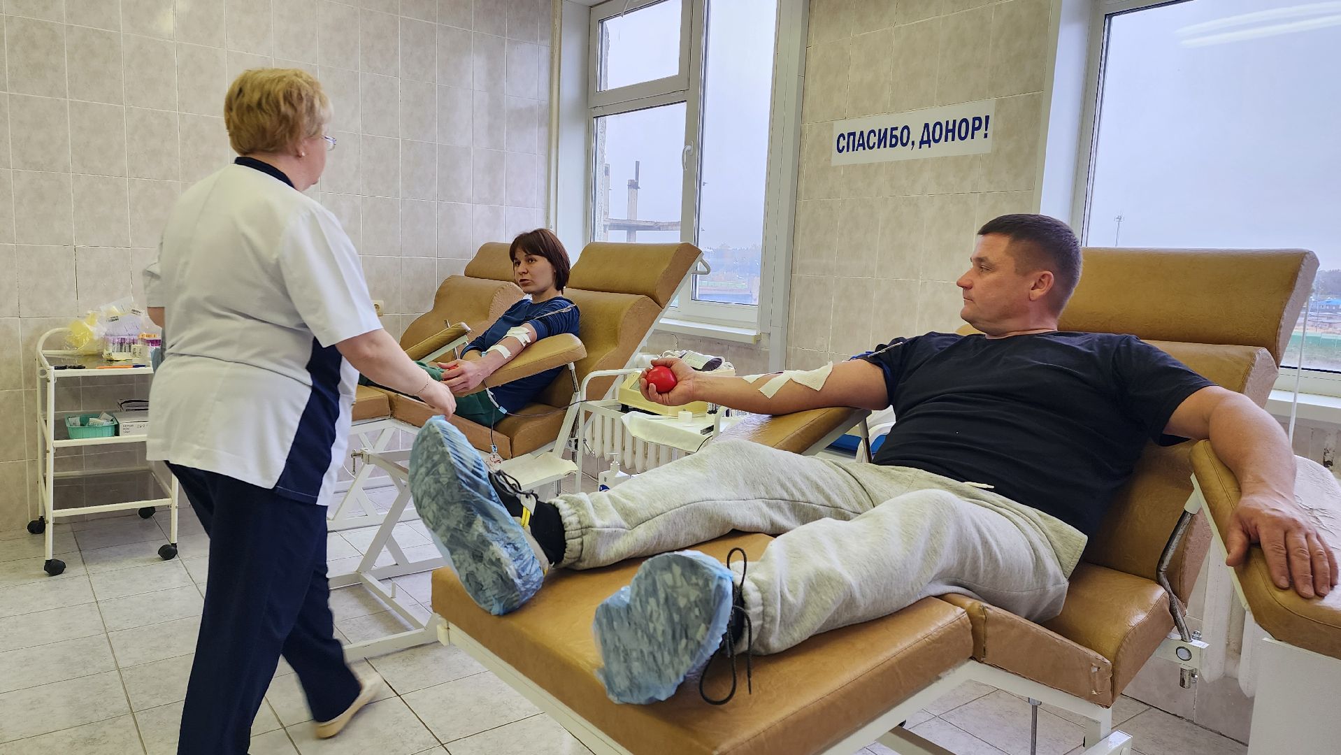 волоколамск, больница, донация, волонтеры подмосковья,