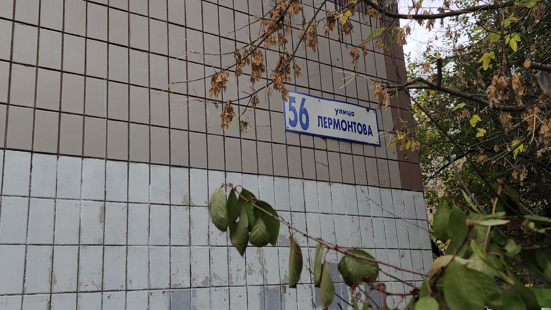 серпухов, выездная администрация в серпухове, улица лермонтова,