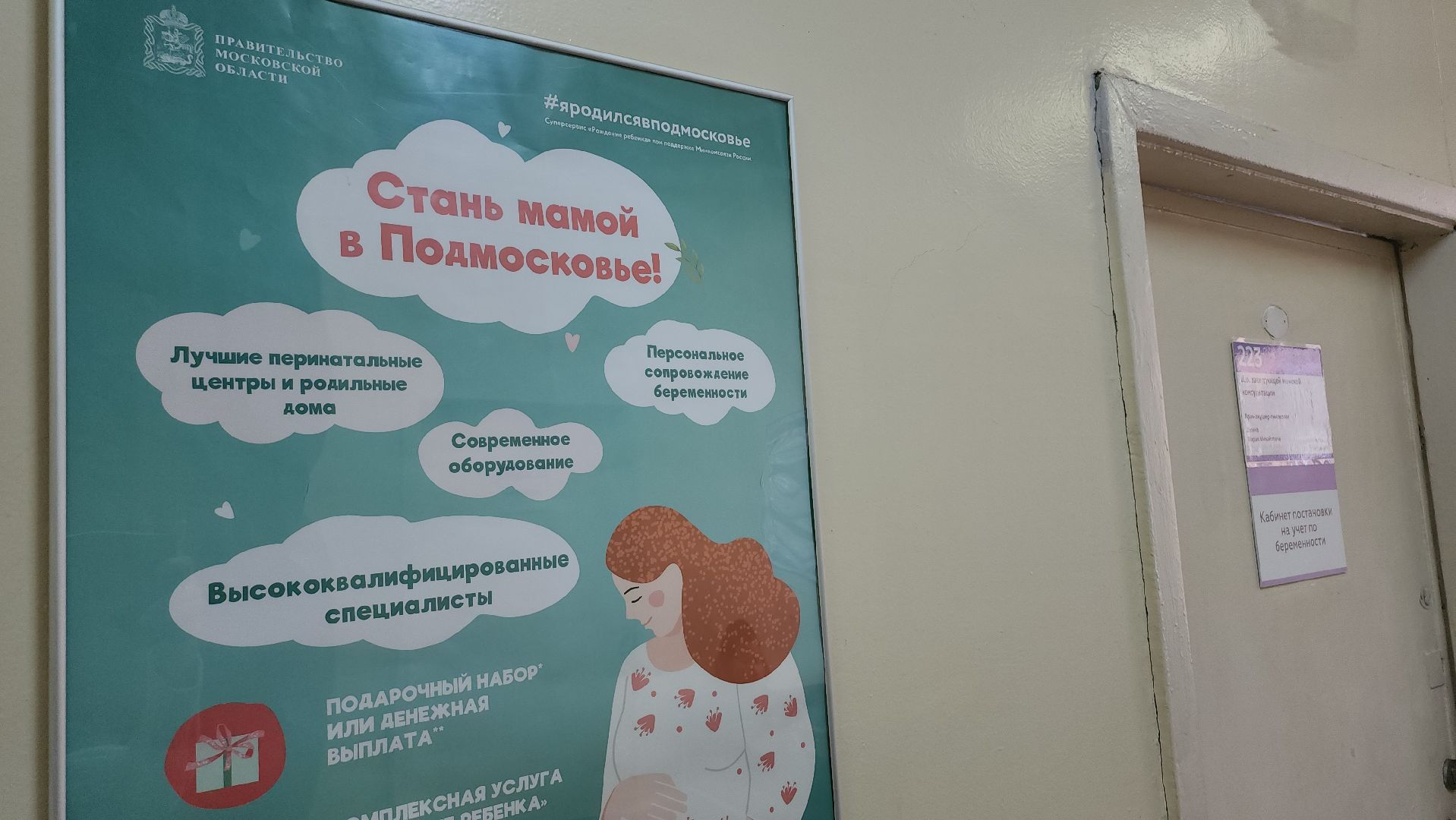 Люберцы, люберецкая областная больница, беременные женщины, вакцинация от гриппа,