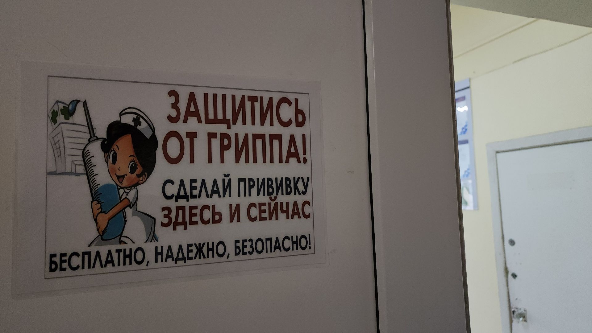 Люберцы, люберецкая областная больница, беременные женщины, вакцинация от гриппа,