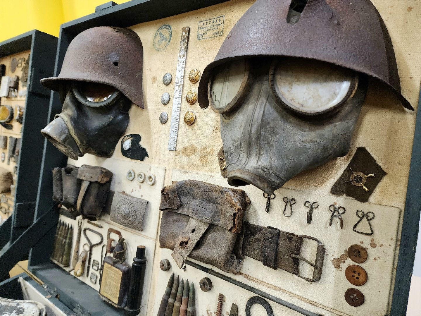 солнечногорск, молодежь , поиск, патриотизм,