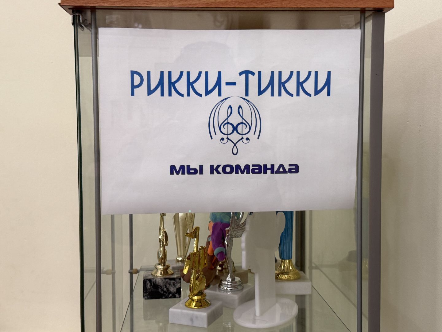 Котельники , Дк Силикат, Педагог , Вокал, хореография,