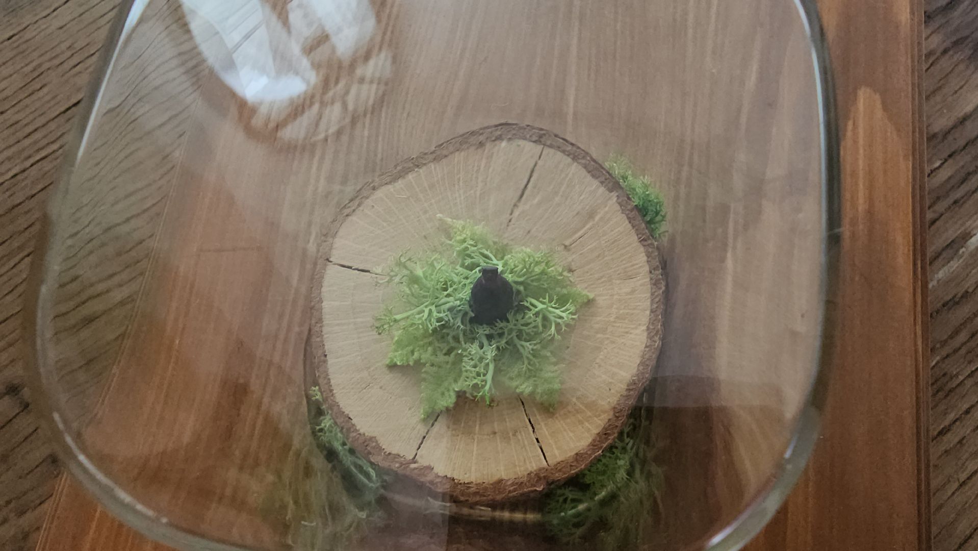 Егорьевск , Подмосковье , Московская область ,