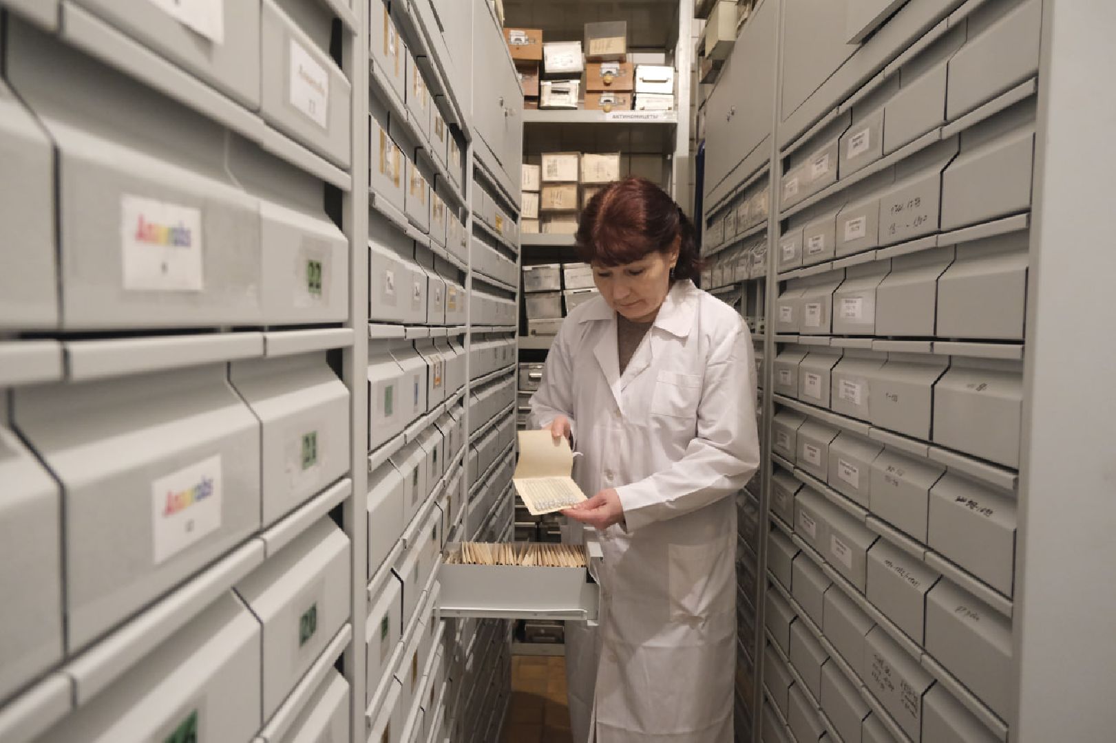 пущино, серпухов, наука, ученые,