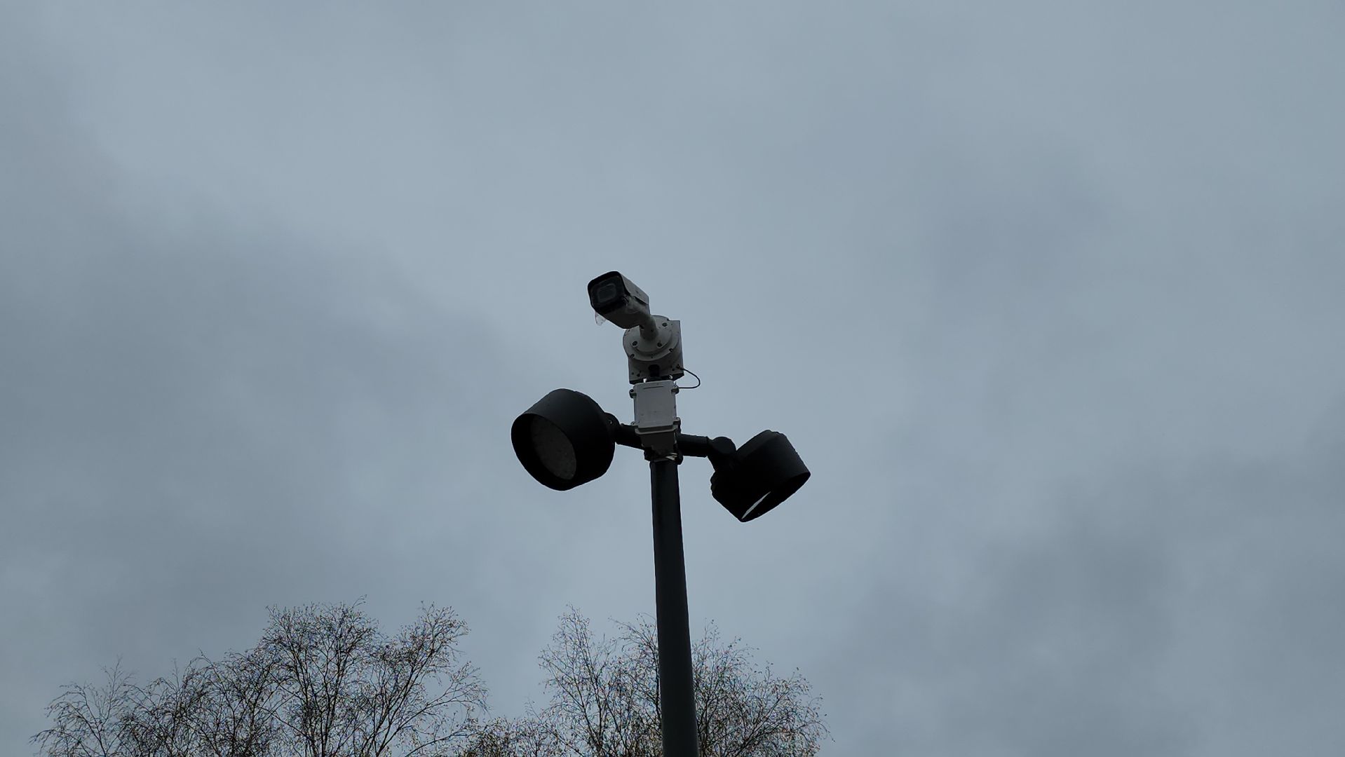 серпухов, парк питомник, парк питомник в серпухове,