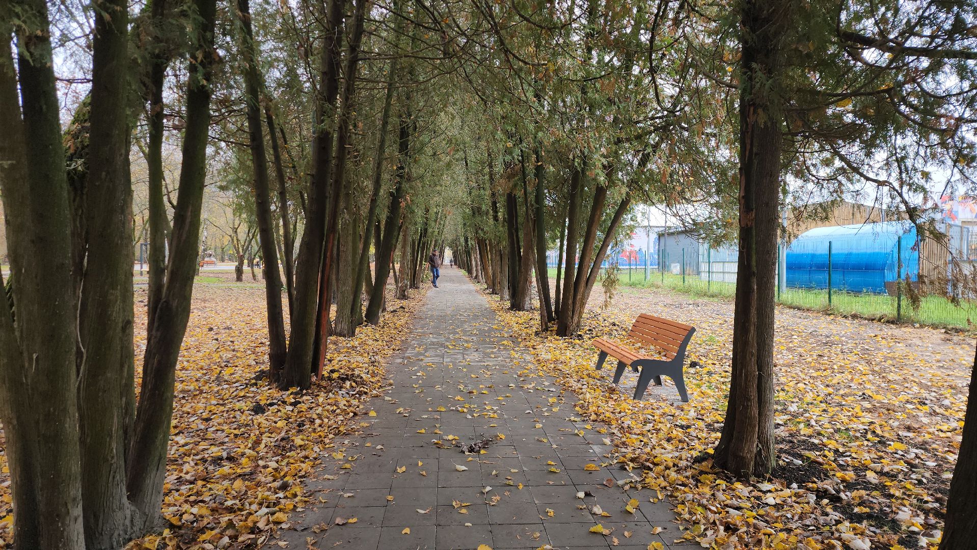 серпухов, парк питомник, парк питомник в серпухове,