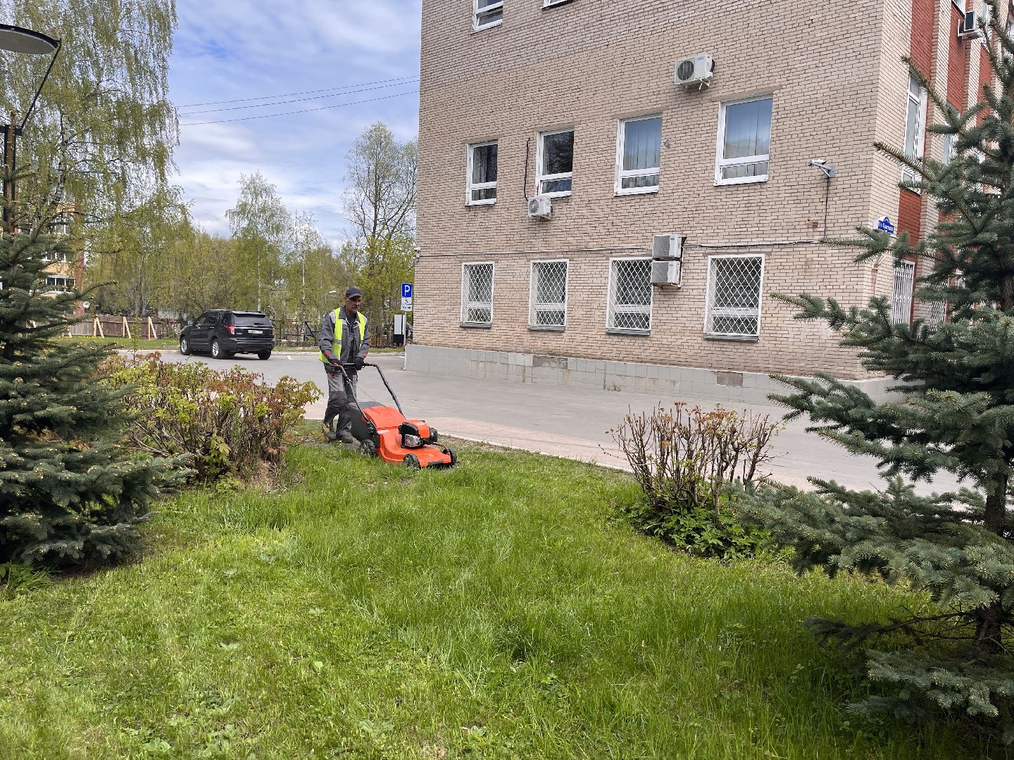 Шаховская, трава, коммунальные службы