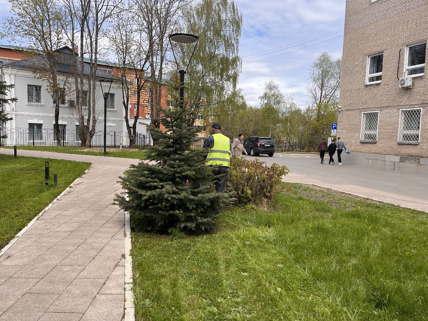 Шаховская, трава, коммунальные службы