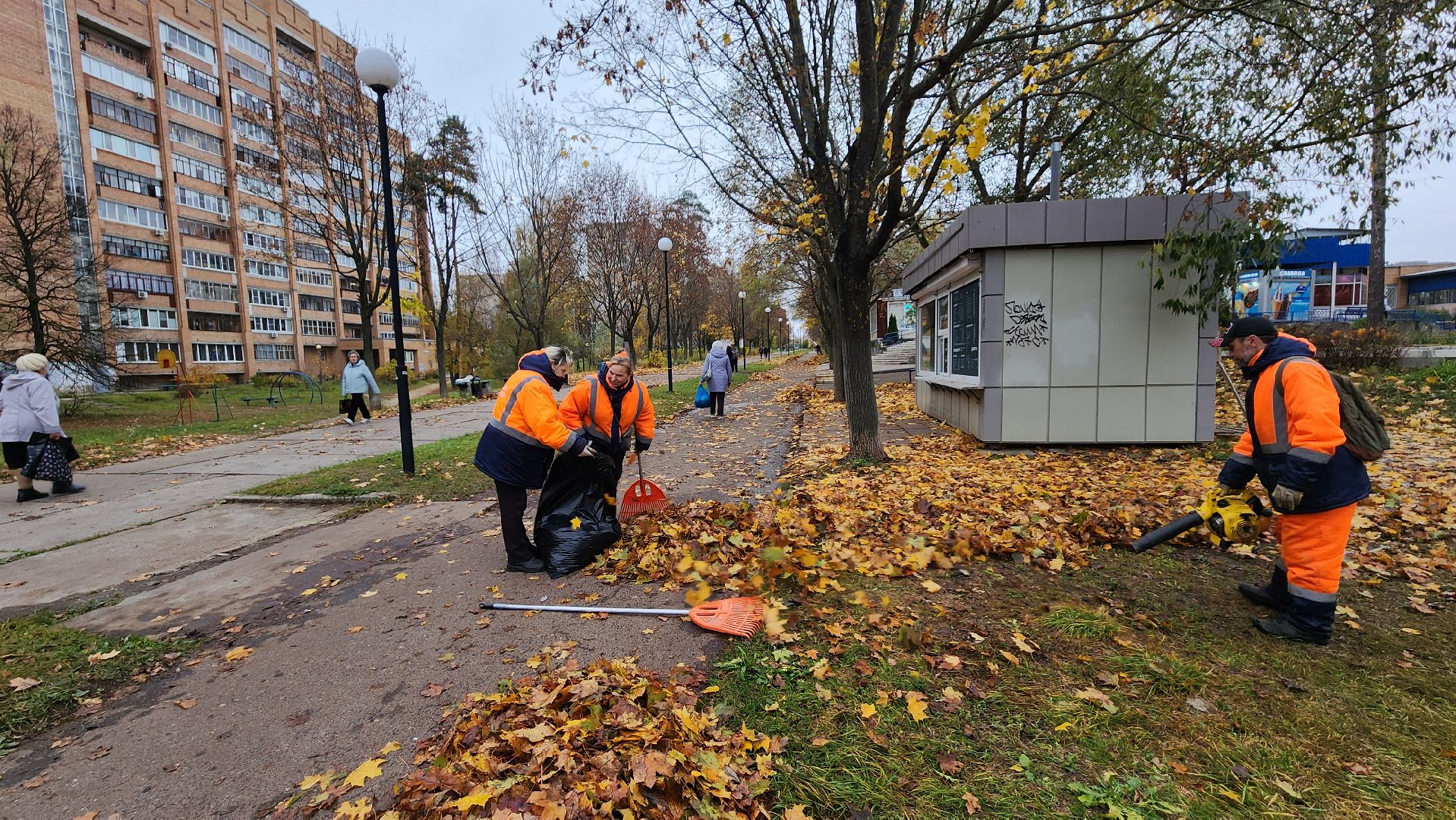 протвино, комбинат благоустройства, уборка палой листвы,