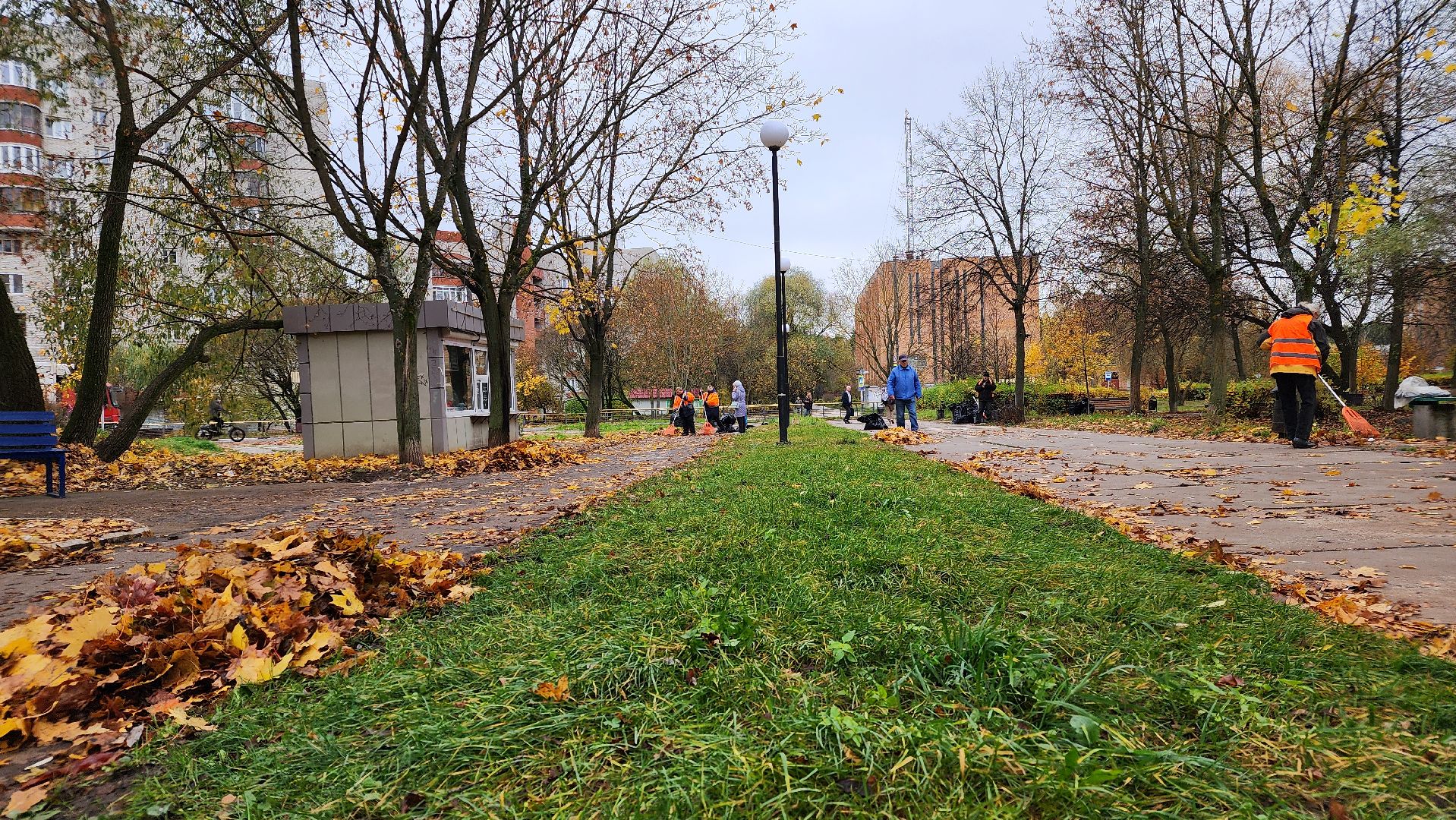 протвино, комбинат благоустройства, уборка палой листвы,