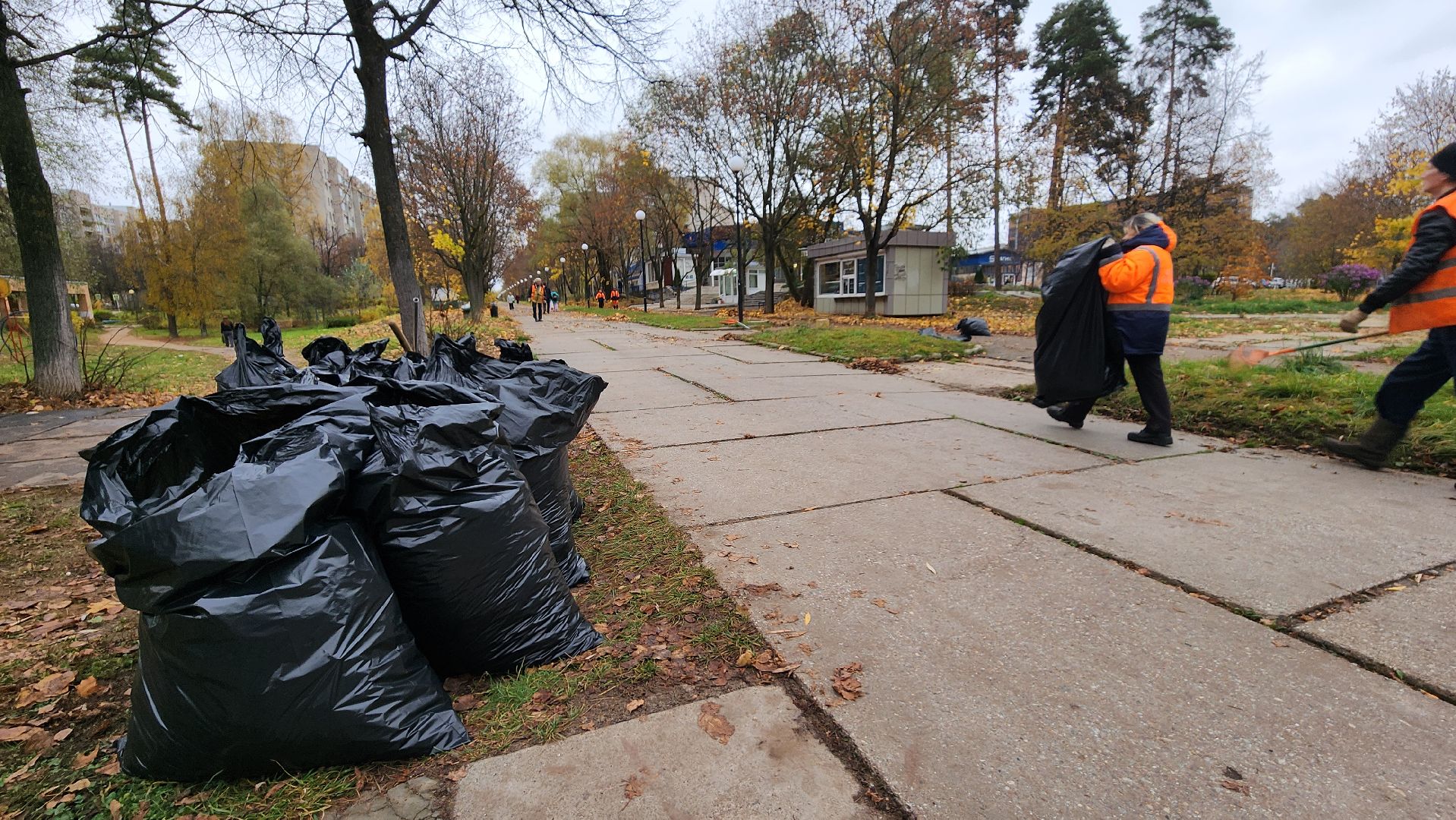 протвино, комбинат благоустройства, уборка палой листвы,