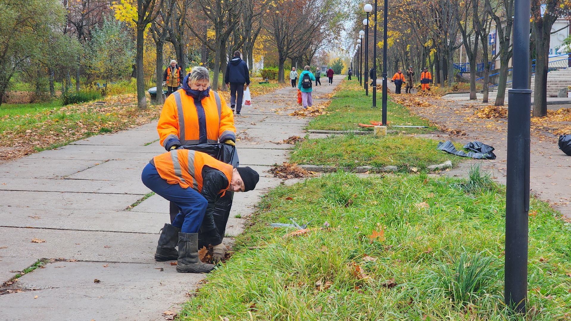 протвино, комбинат благоустройства, уборка палой листвы,