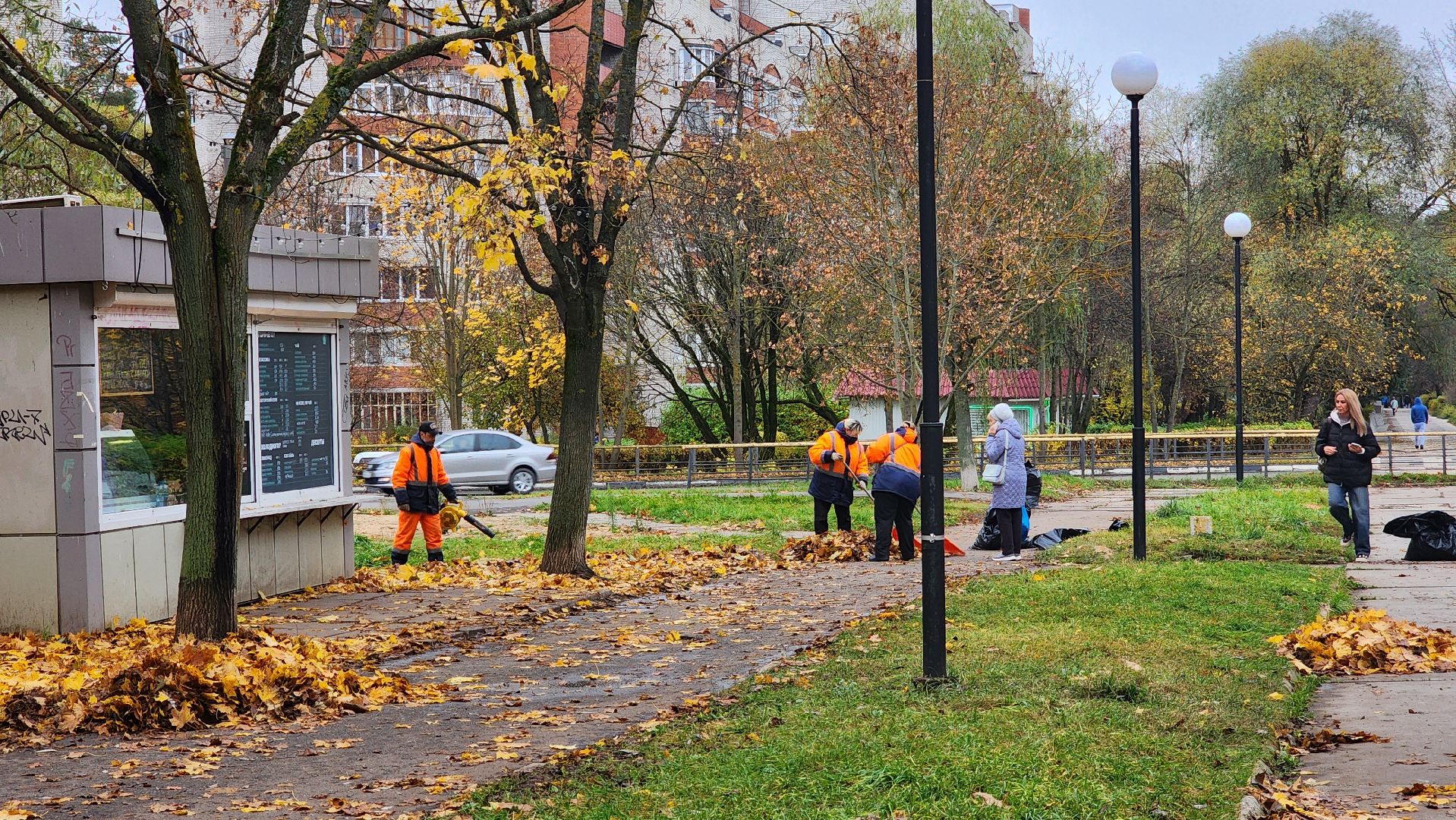 протвино, комбинат благоустройства, уборка палой листвы,