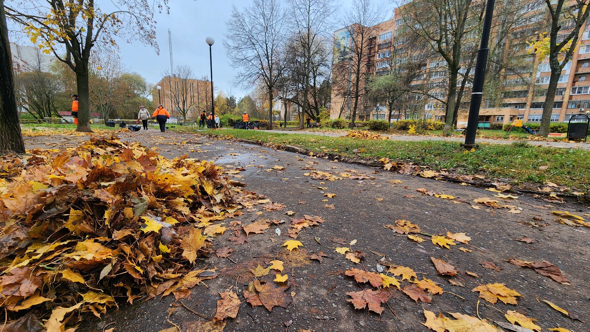 протвино, комбинат благоустройства, уборка палой листвы,