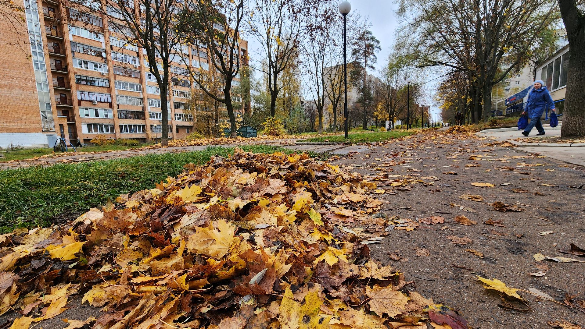 протвино, комбинат благоустройства, уборка палой листвы,