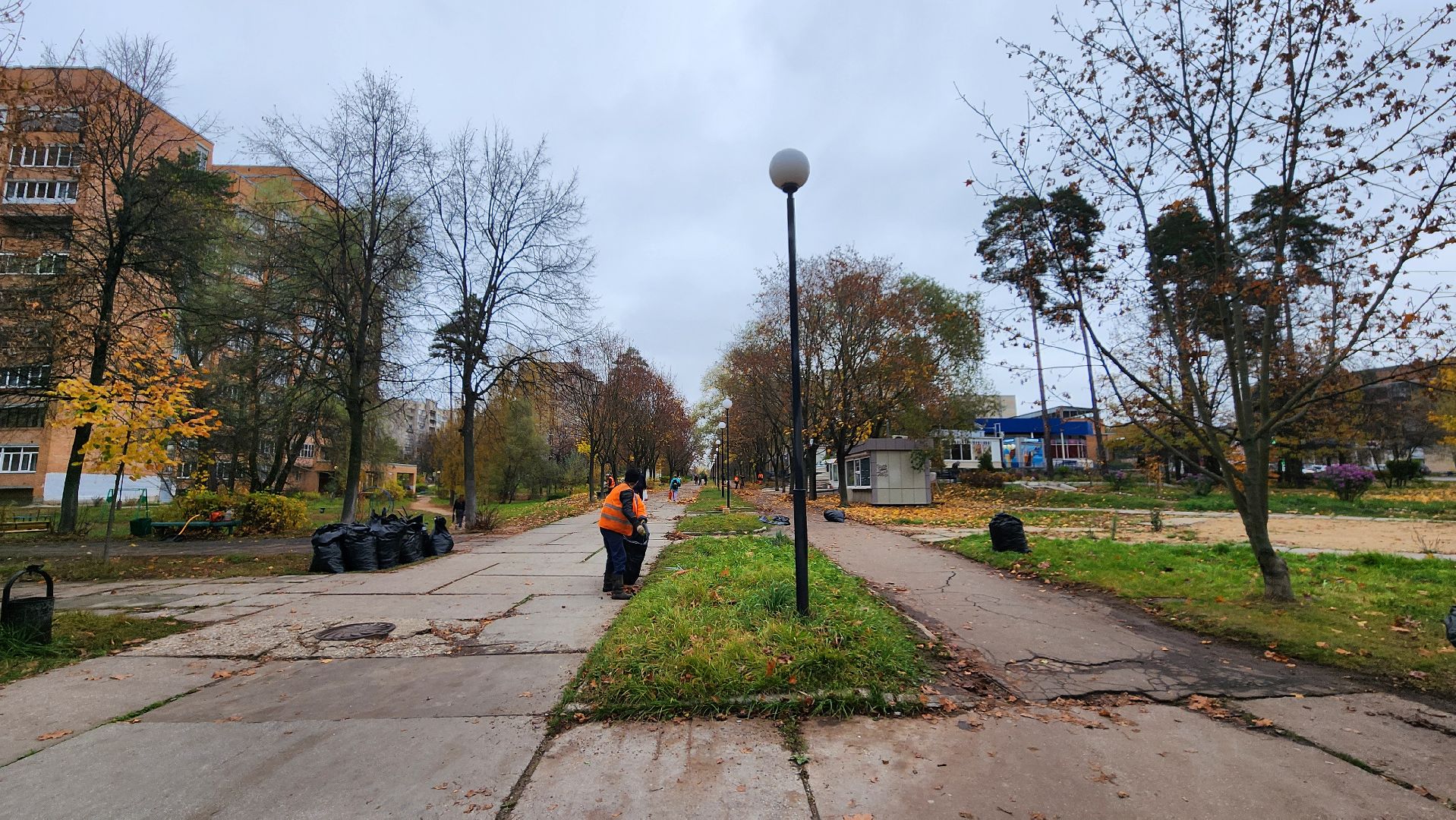 протвино, комбинат благоустройства, уборка палой листвы,