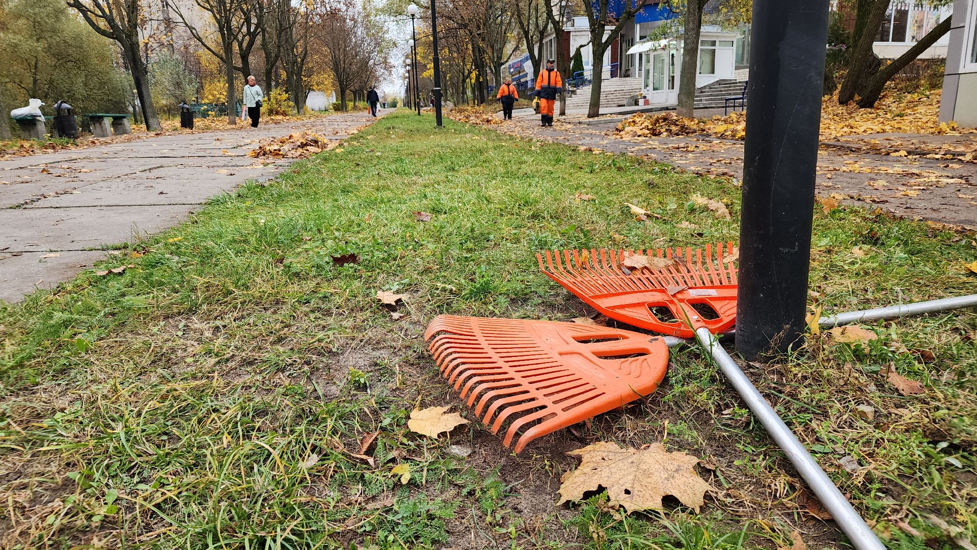 протвино, комбинат благоустройства, уборка палой листвы,